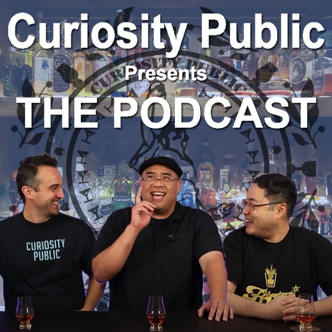 Curiosity Public's Podcast 