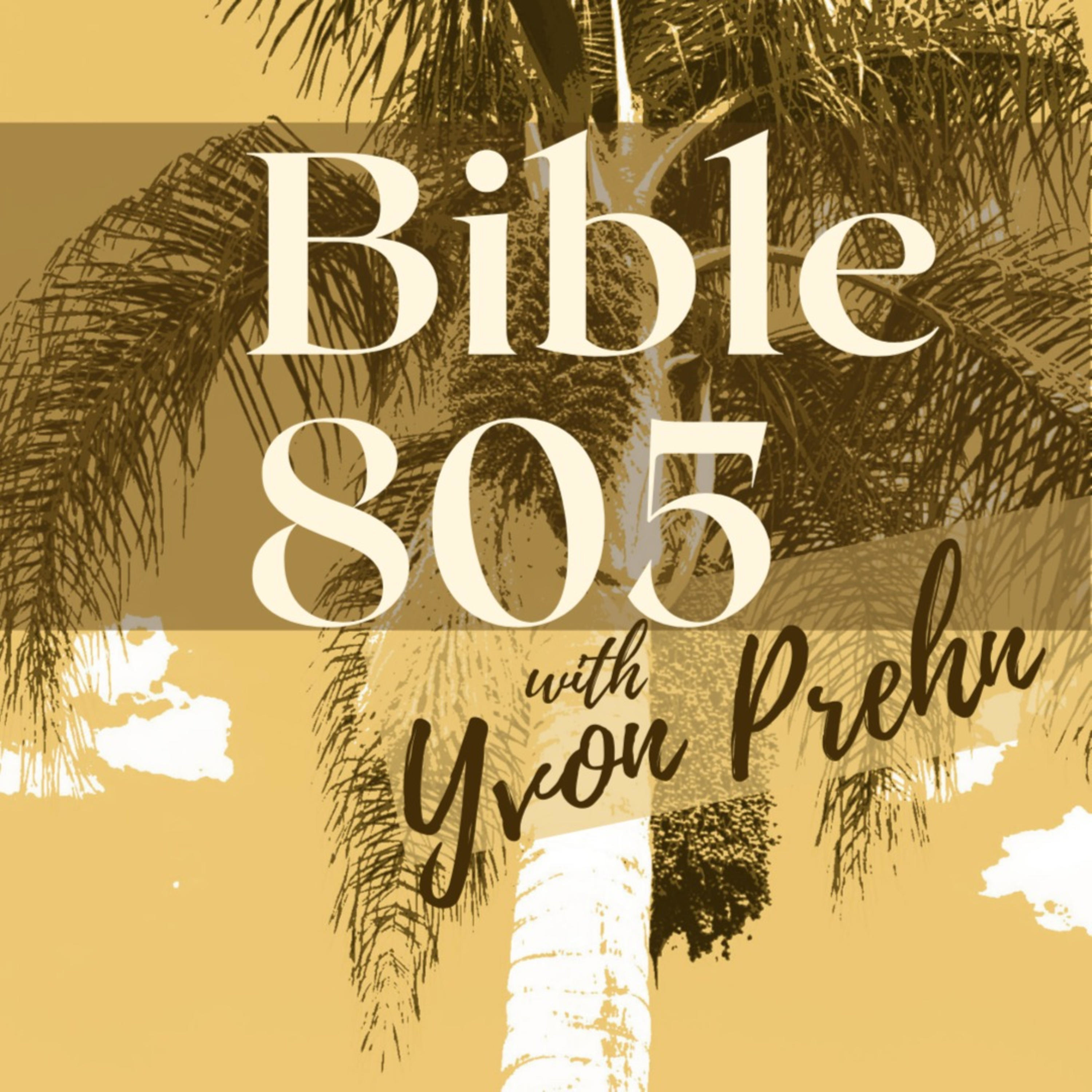 Bible 805 