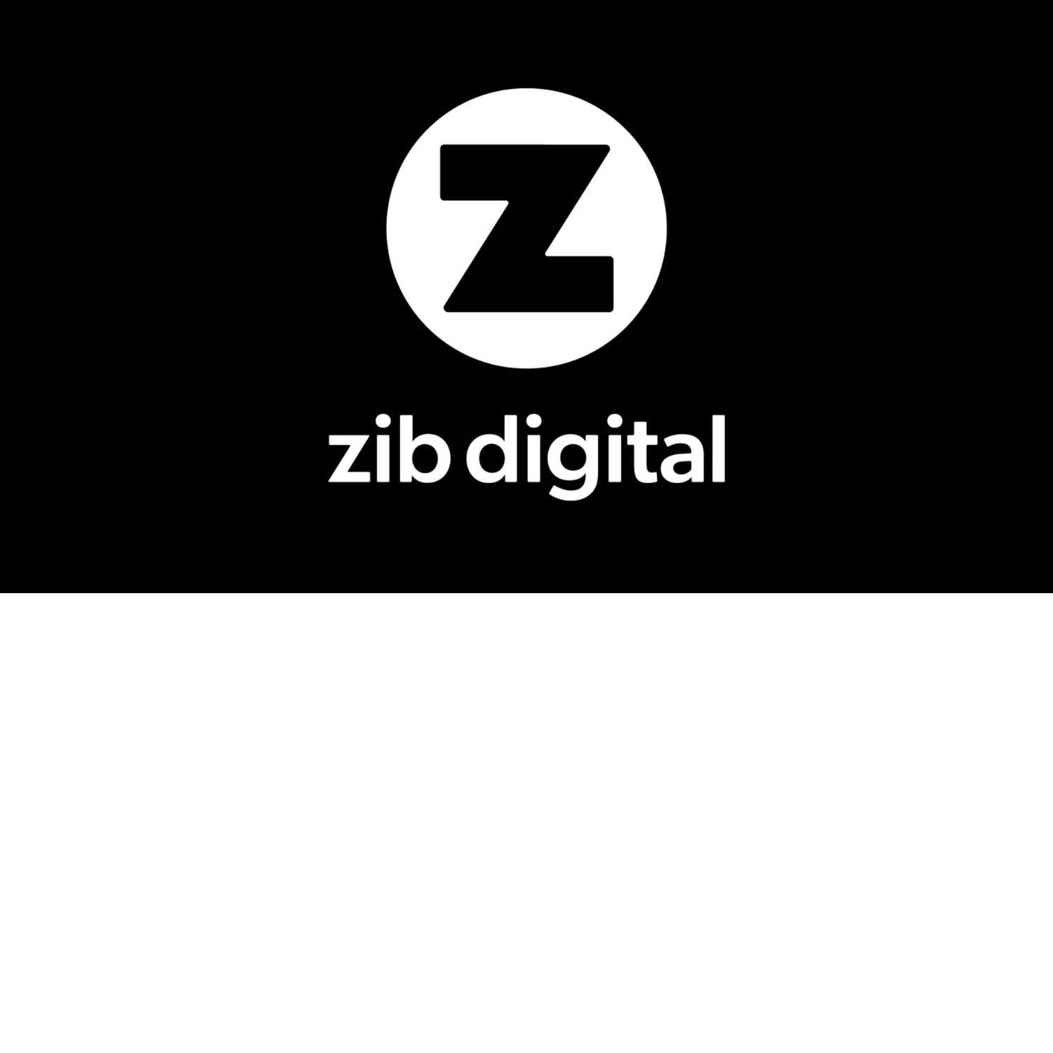 Zib Digital India - Social Media Marketing Agency 