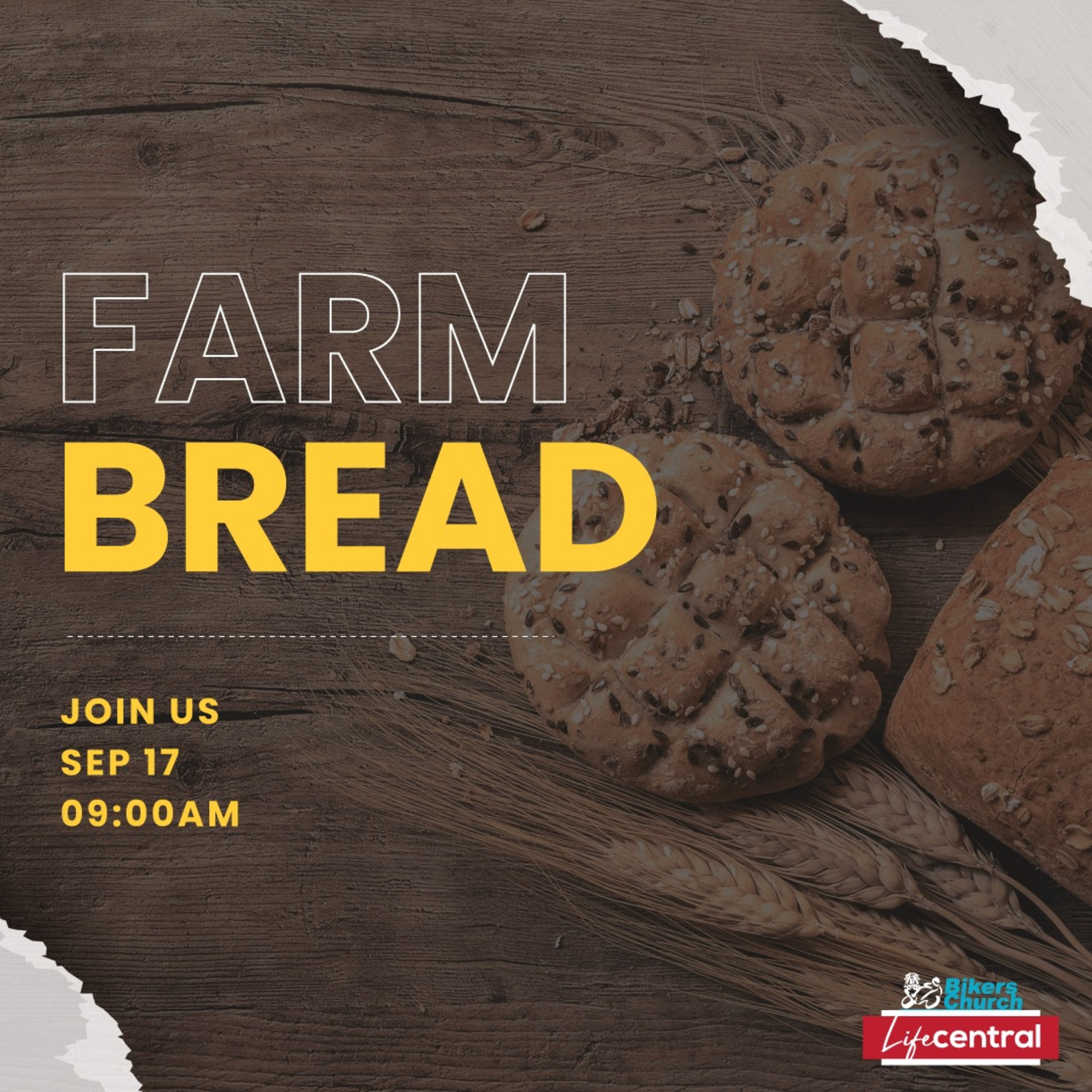 ⁣Farm Bread - Jos Steenvat