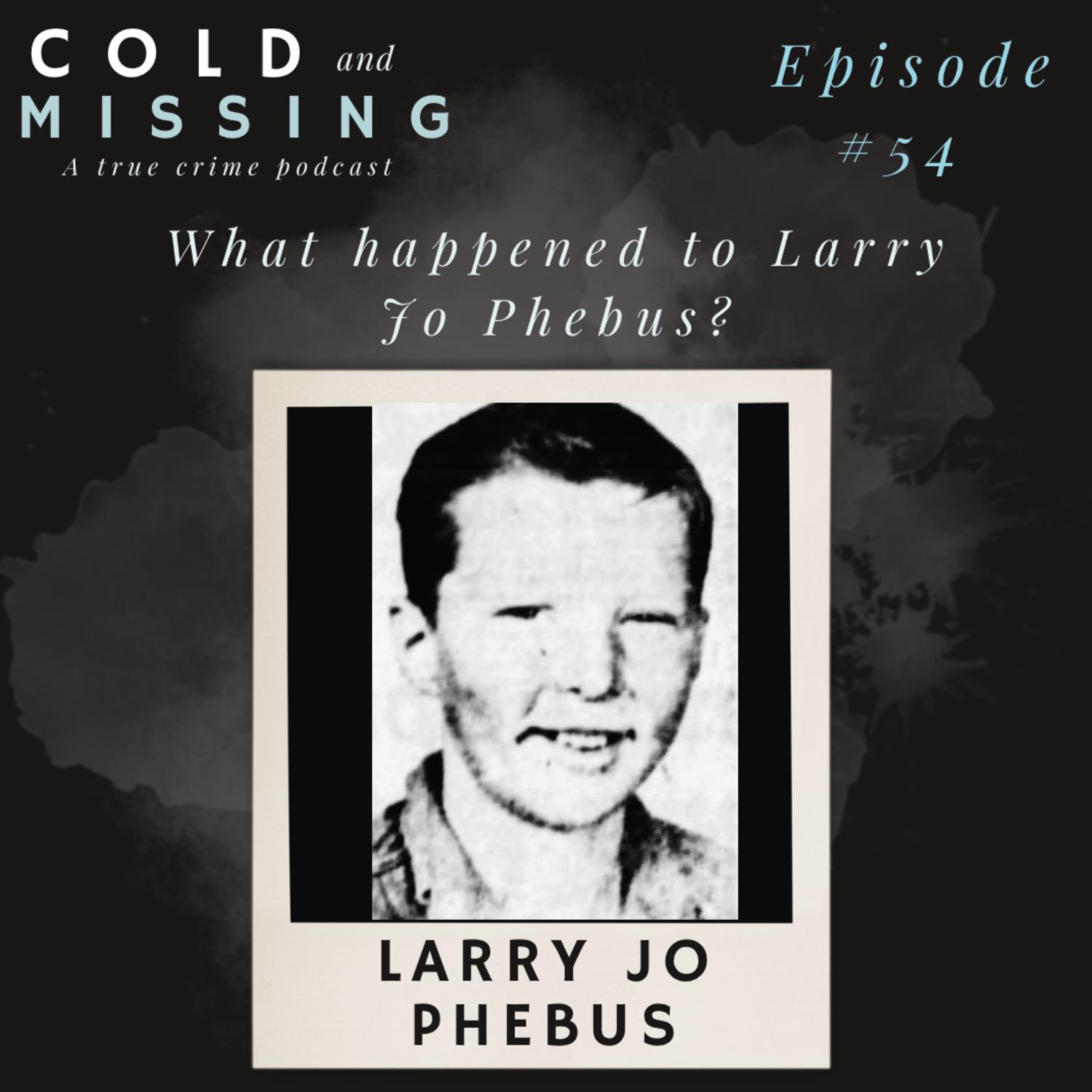 Cold and Missing: Larry Jo Phebus 