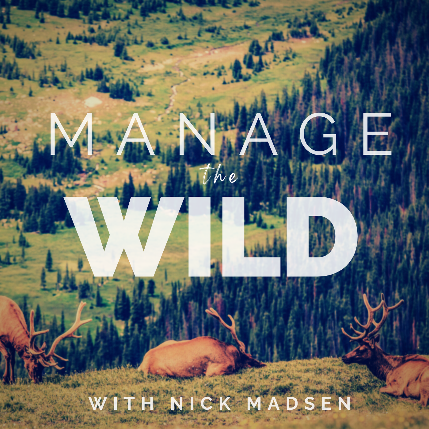 ⁣210: The Economics of Big Game Hunting and Wildlife Tourism