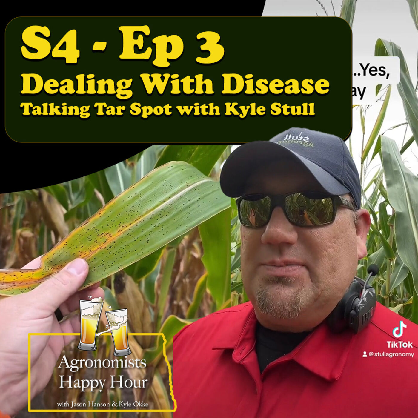 ⁣Dealing With Disease: Talking Tar Spot With Kyle Stull