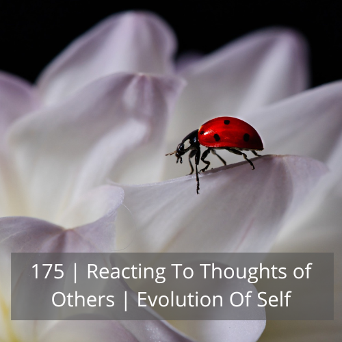 175 | Reacting To Thoughts of Others | Evolution Of Self