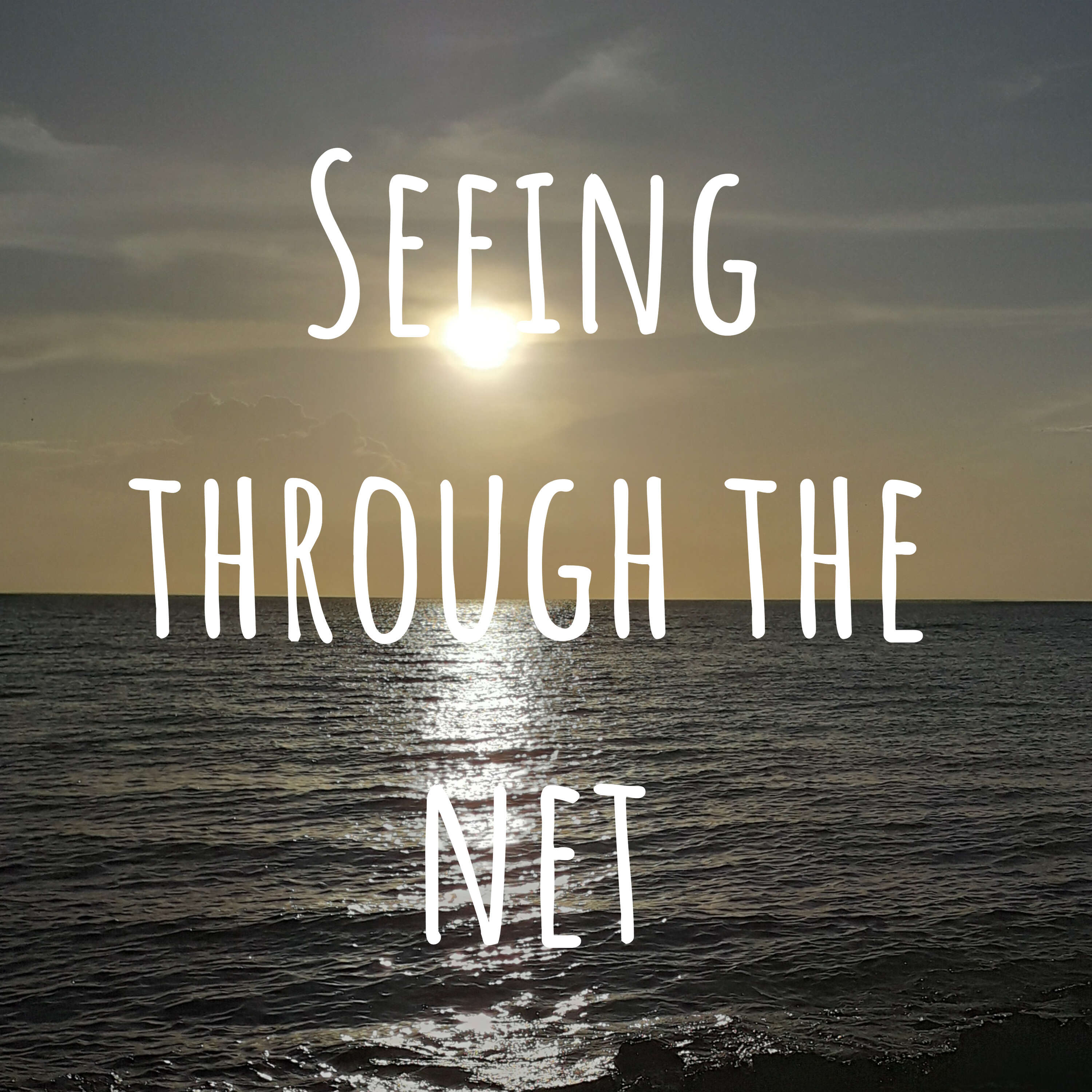 Seeing through the net 