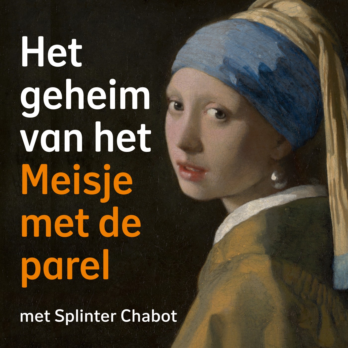 Het geheim van het Meisje met de parel 