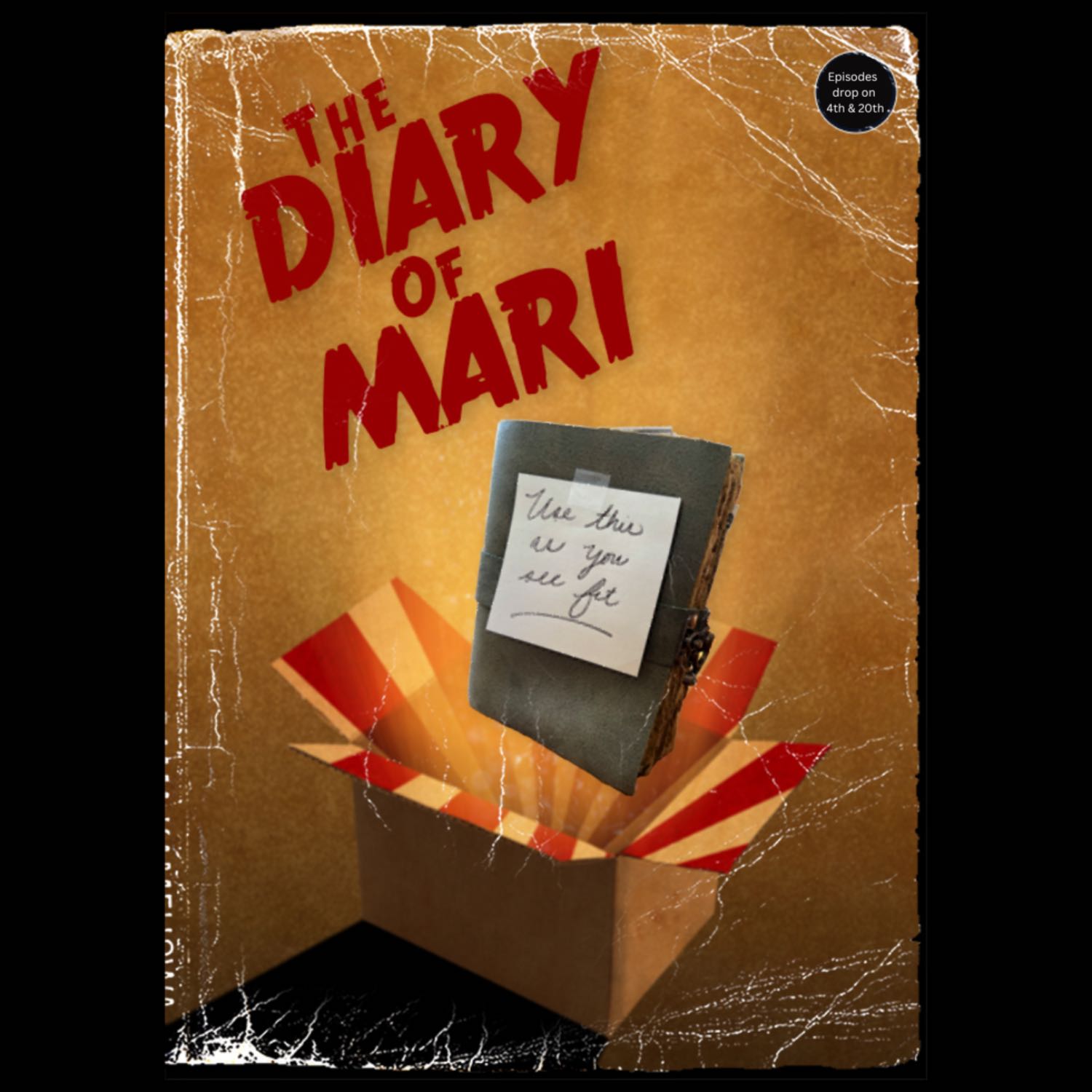 Use This As You See Fit: The Diary of Mari 