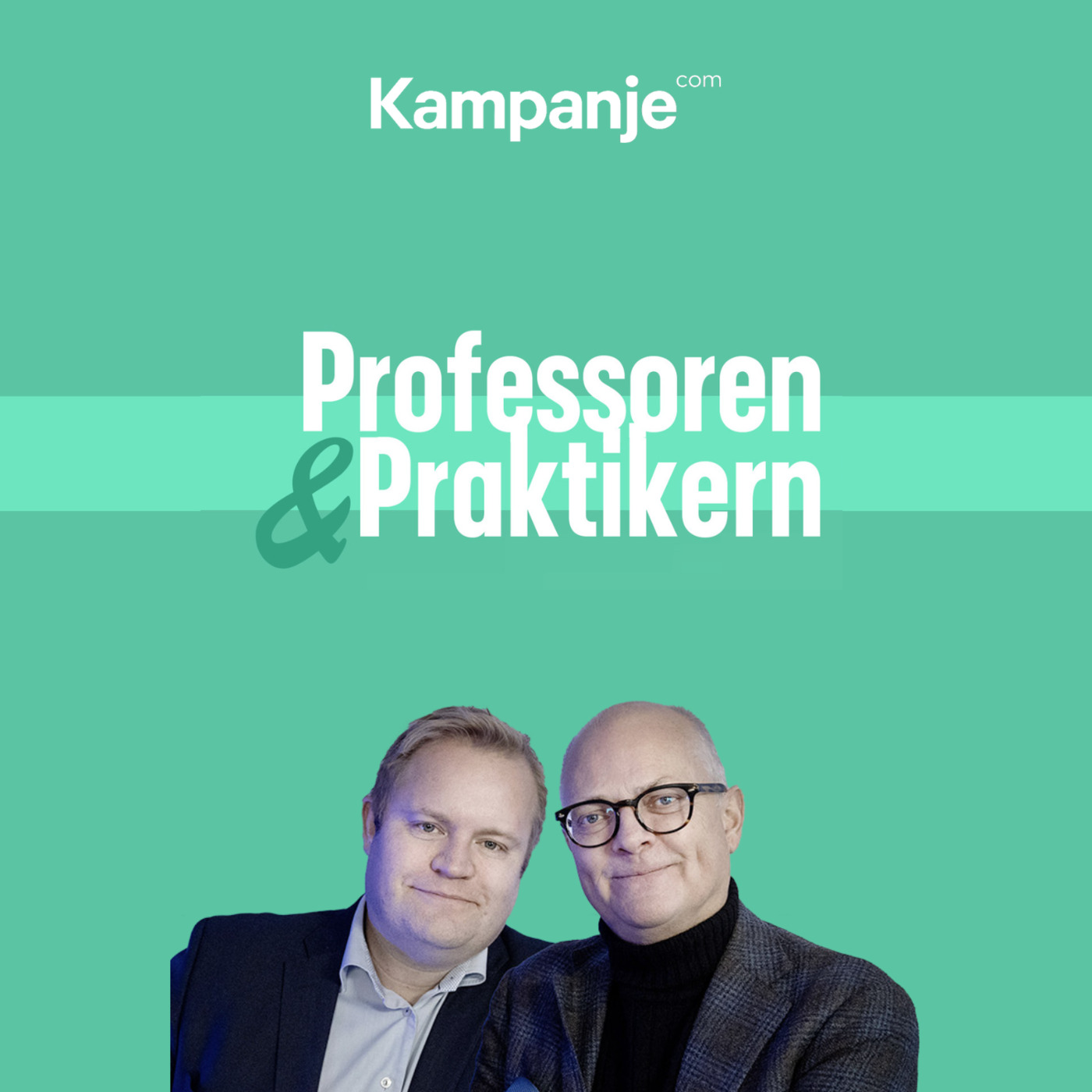 Professoren & praktikern 