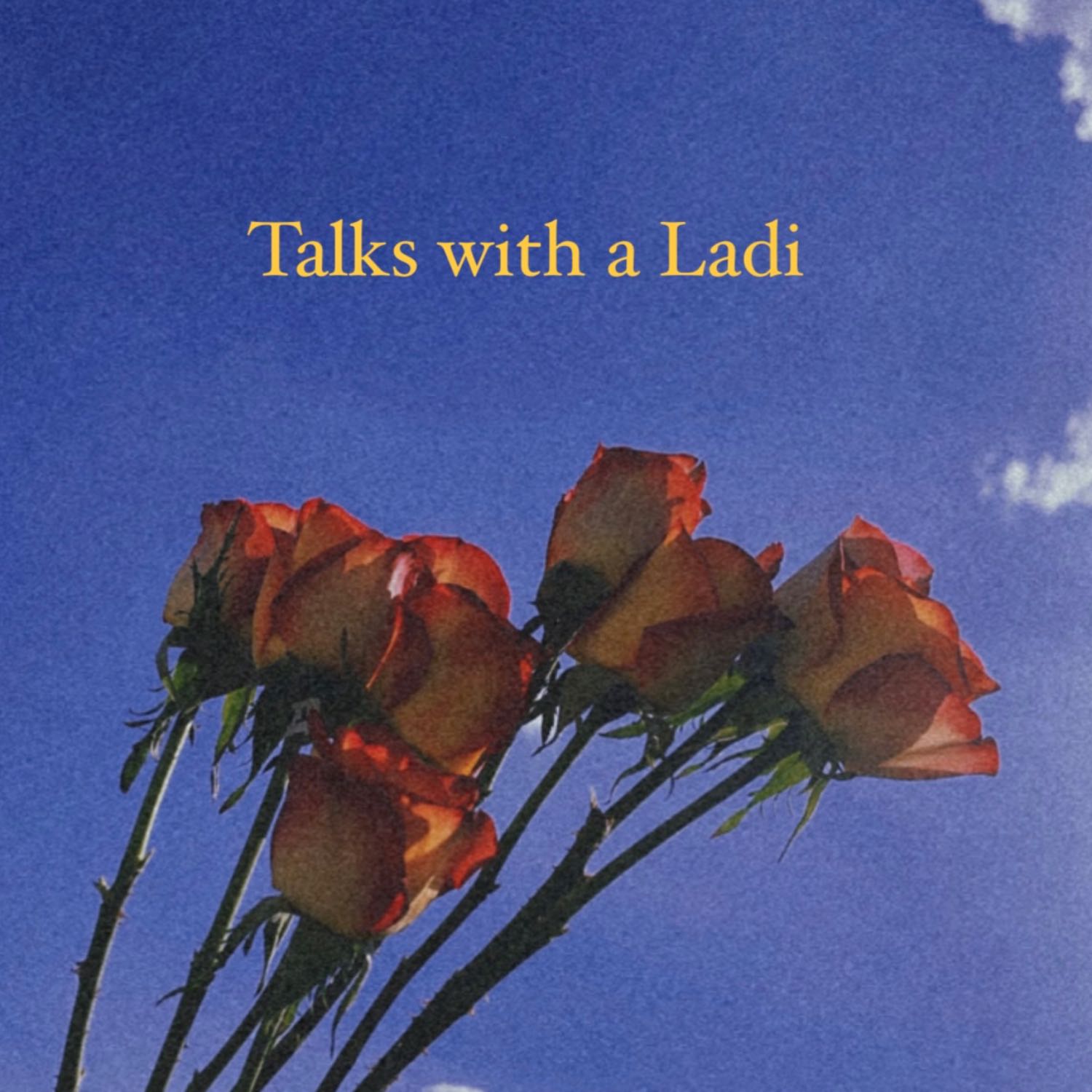 Getting to know Ladi 