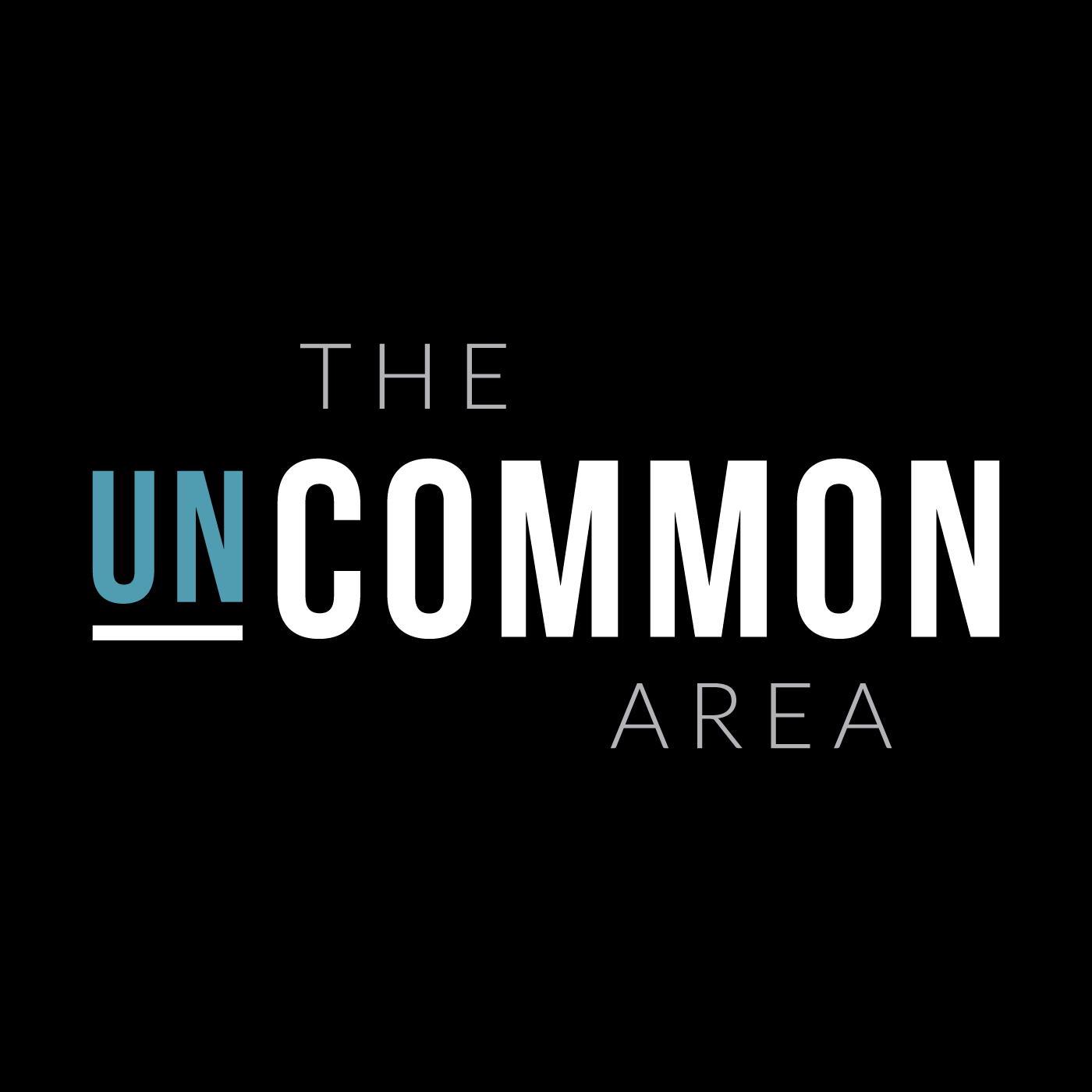 The Uncommon Area Archives : Action Property Management 