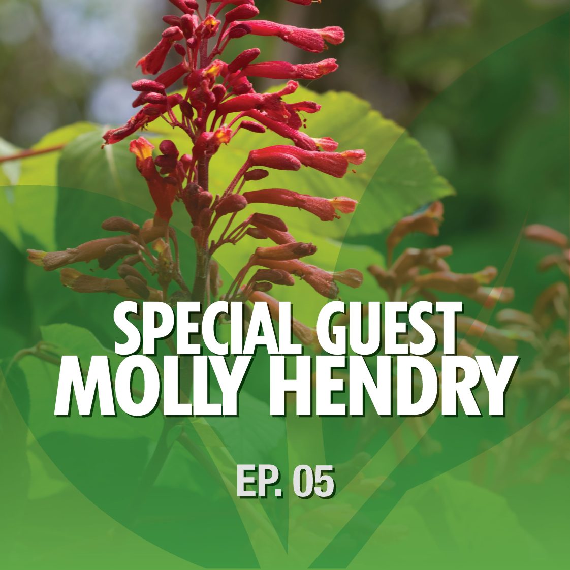 Season 1 Episode 5 – Special Guest Molly Hendry