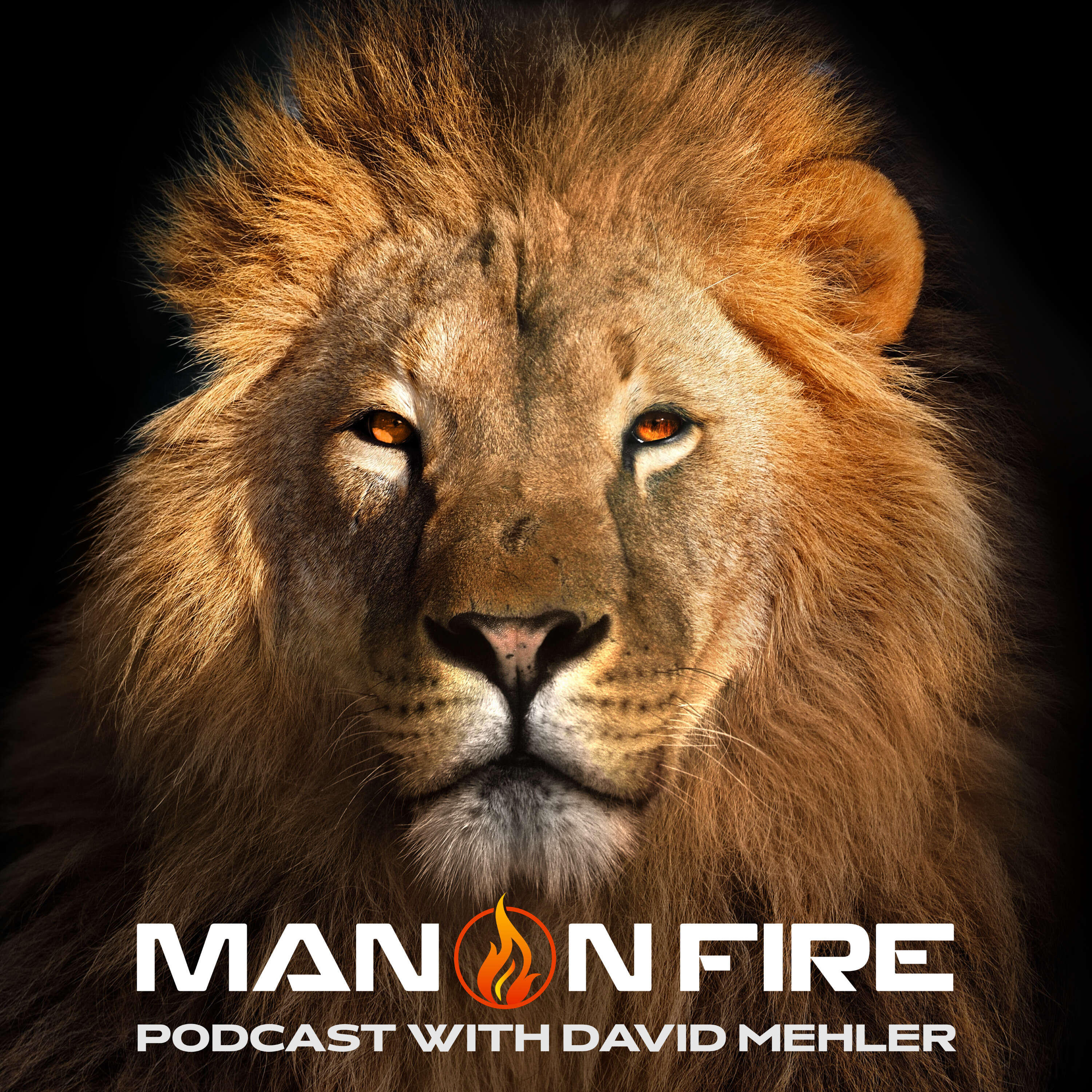 Man On FIRE Podcast with David Mehler 