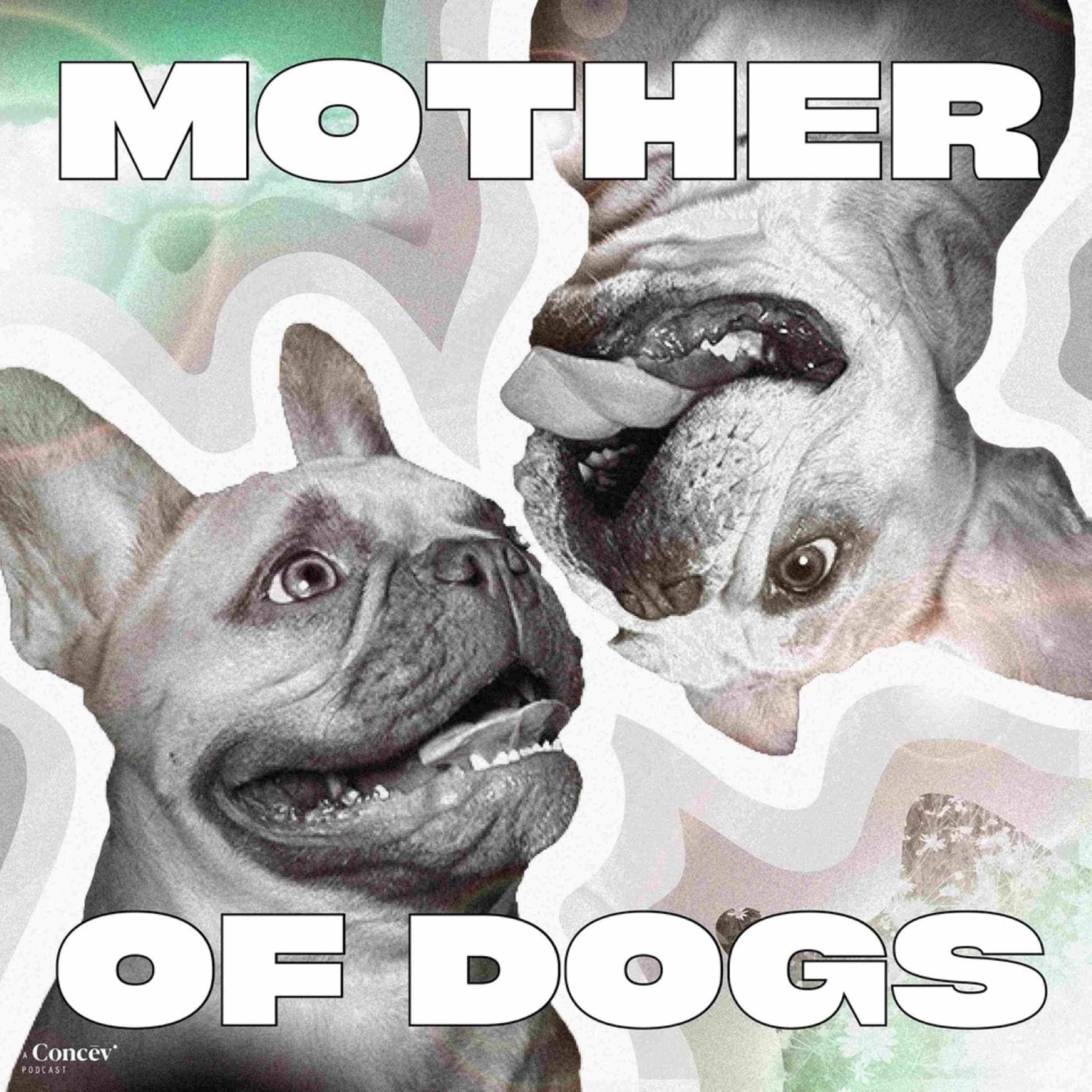 Mother of Dogs 