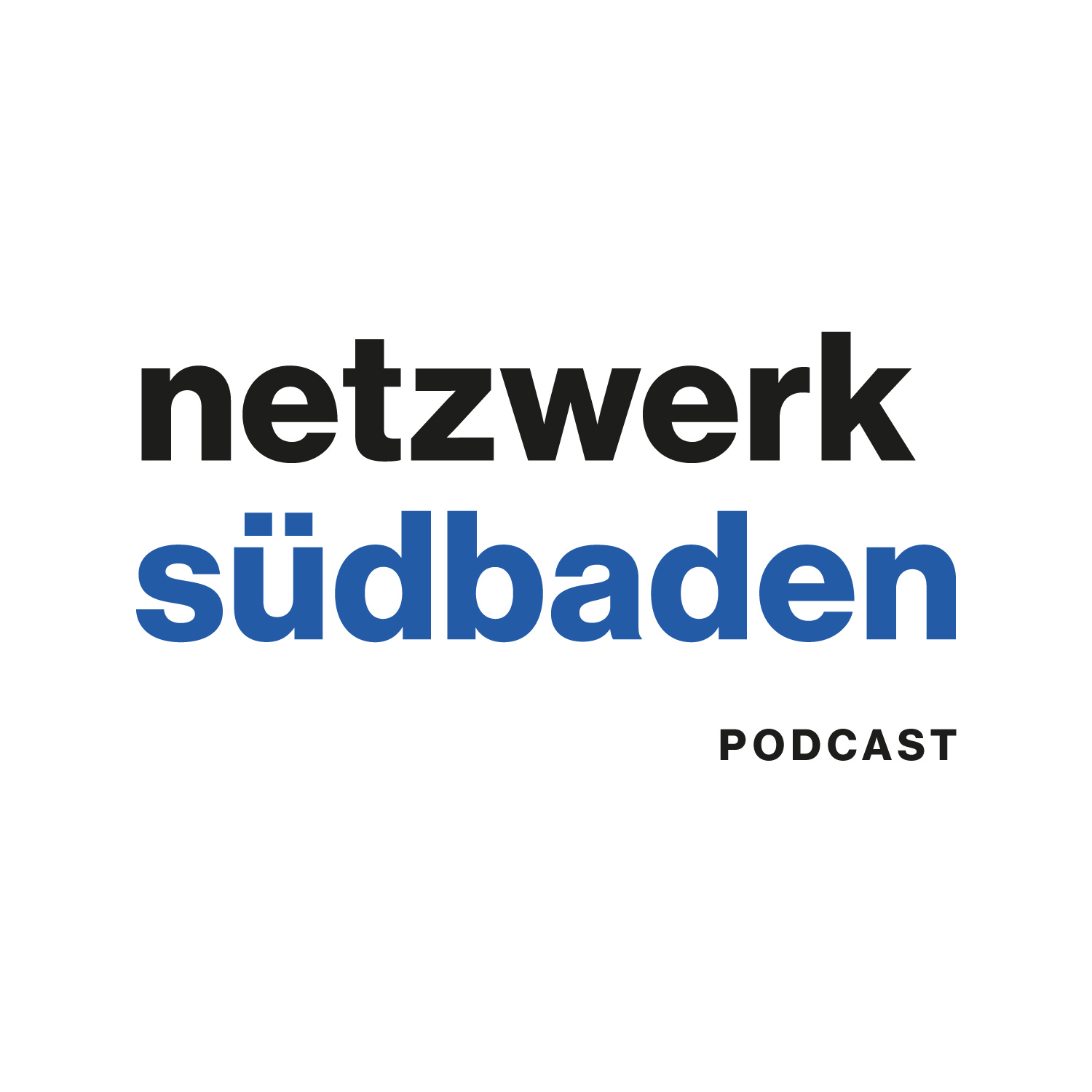 netzwerk südbaden 