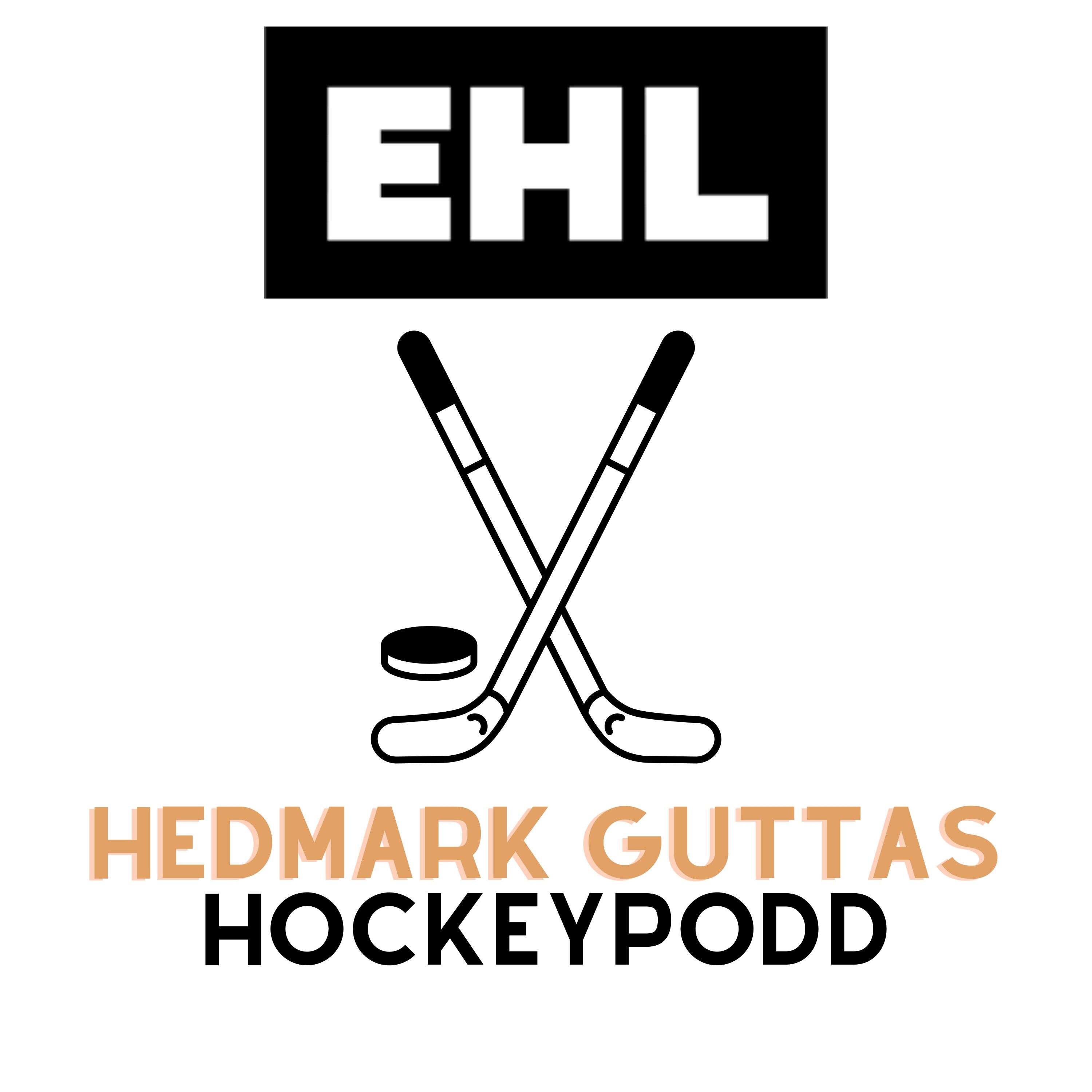 Hedmark guttas hockey pod 