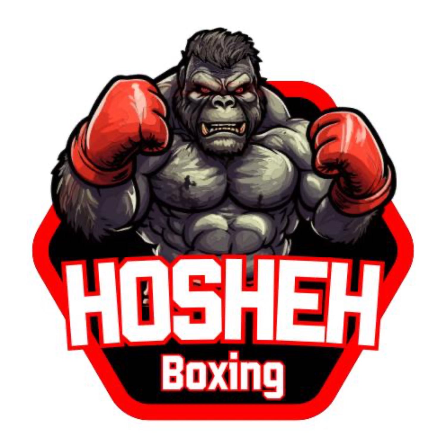 ⁣Hosheh Boxing #2  -  المنشطات في الملاكمة | كانيلو ضد تشارلو وأخبار حصرية.