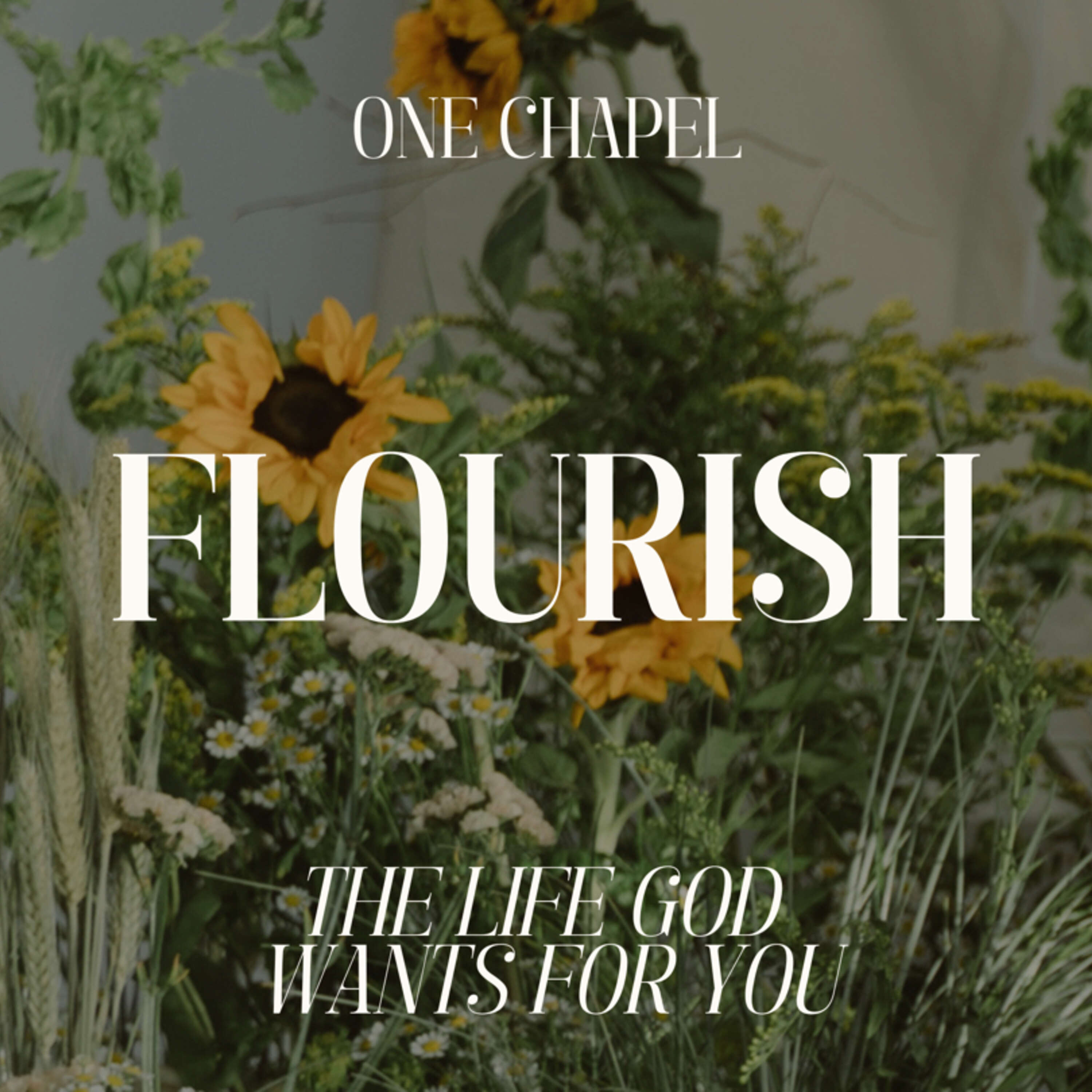 ⁣Flourish: Mentally and Emotionally