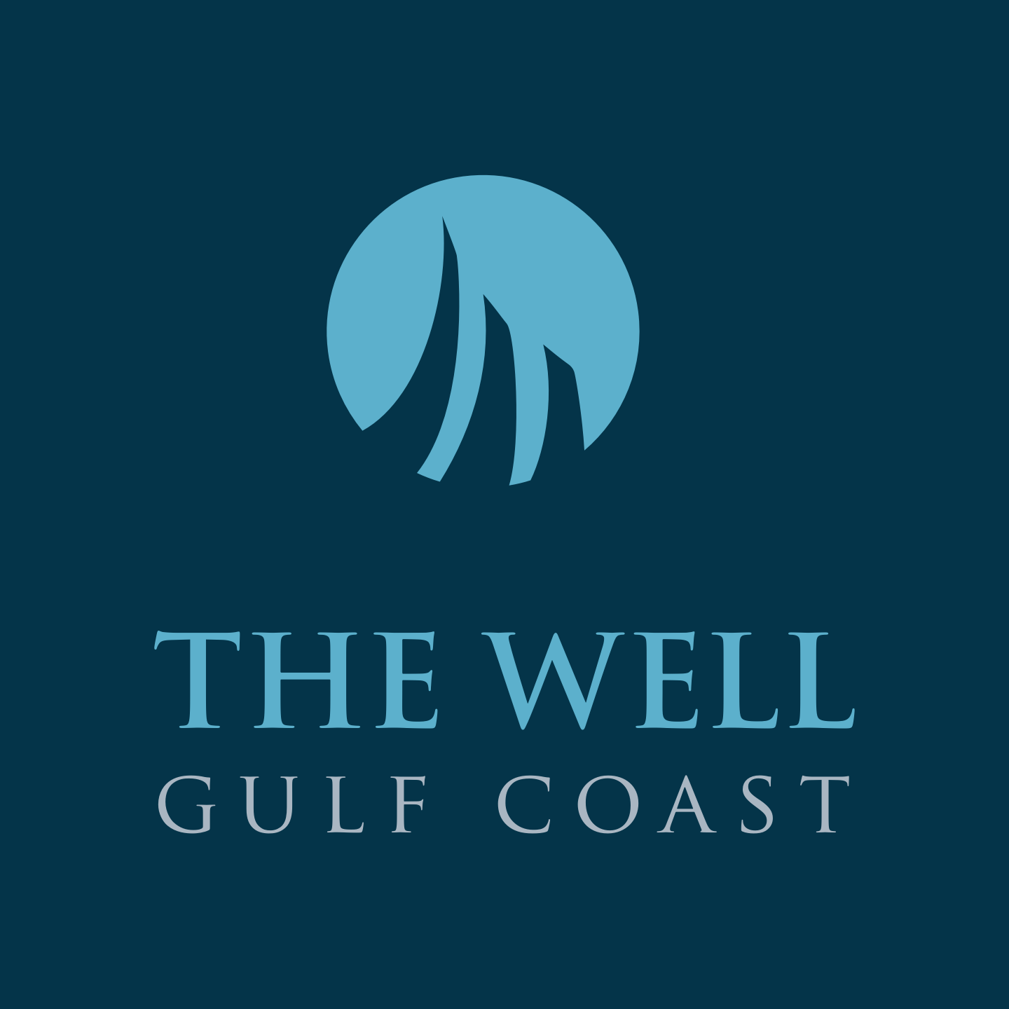 The Well Gulf Coast Church 