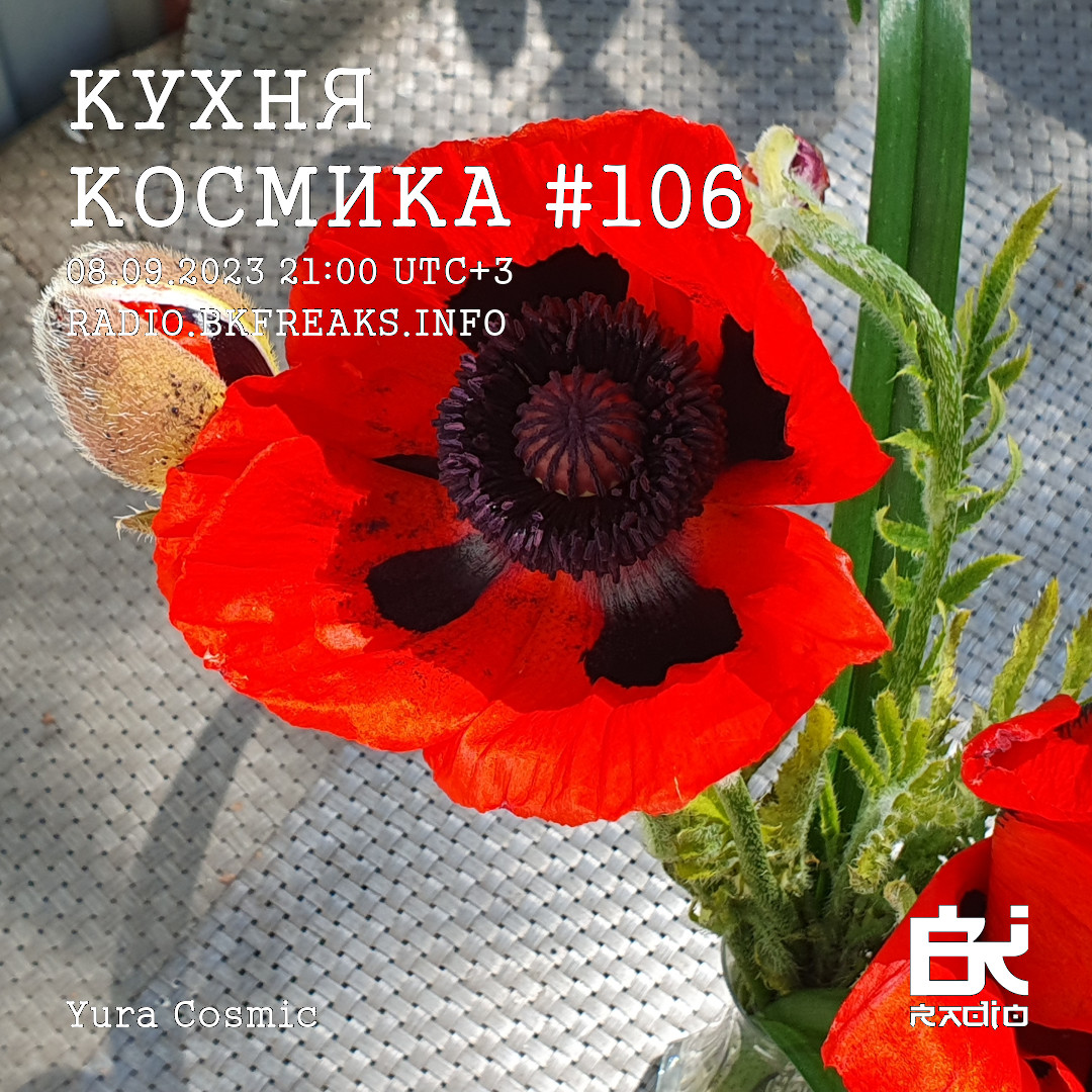 Dj Cosmic - Kukhnya Kosmika 106 mix 08.09.2023