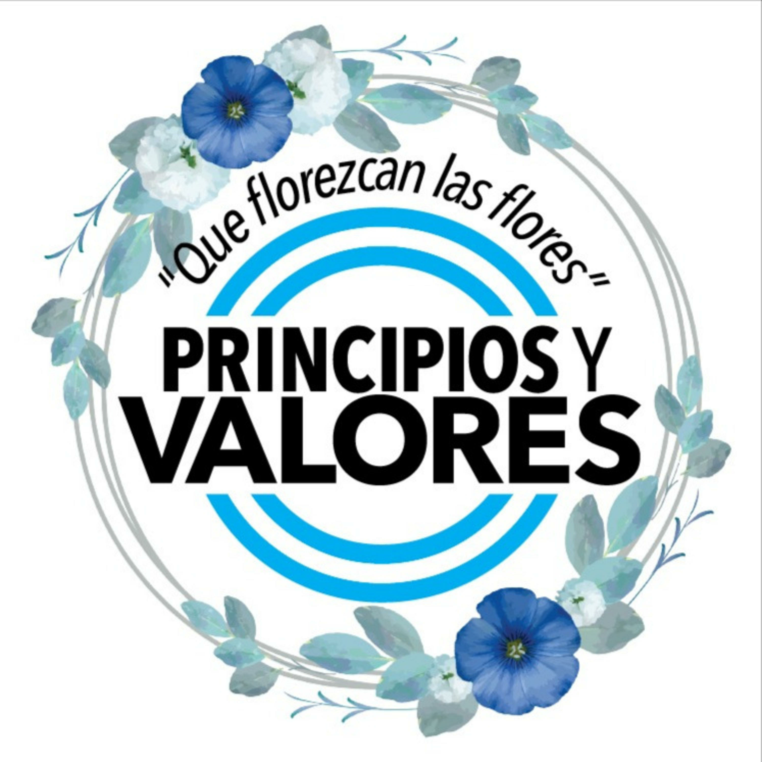 Principios y Valores 