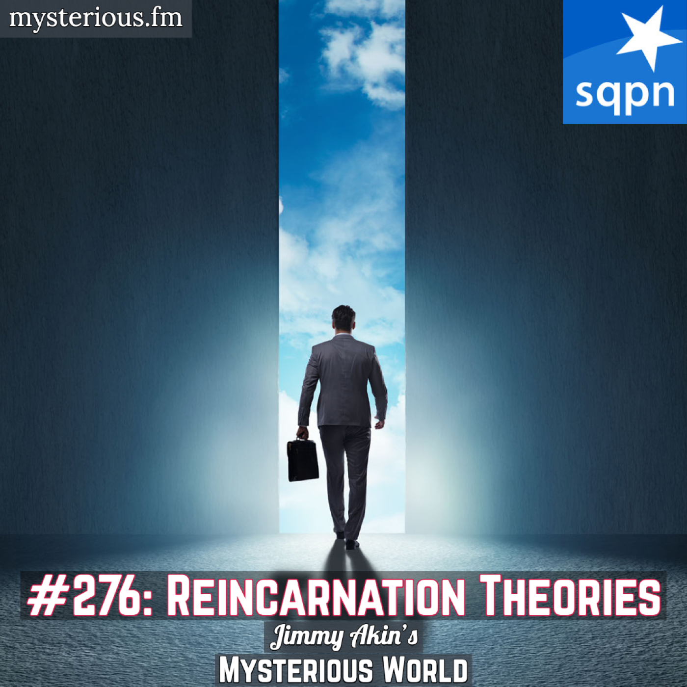 Reincarnation Theories (Ian Stevenson and Others)