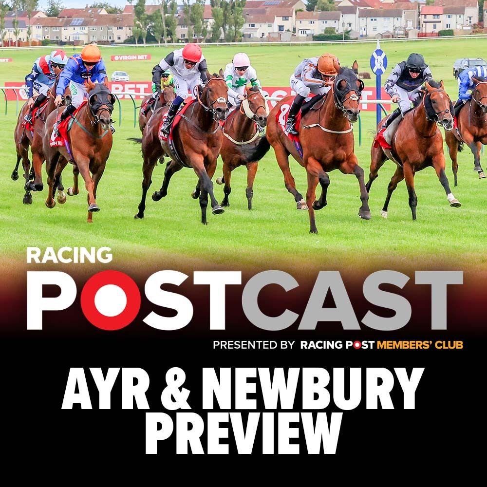 ⁣Ayr & Newbury Preview | Horse Racing Tips | Racing Postcast