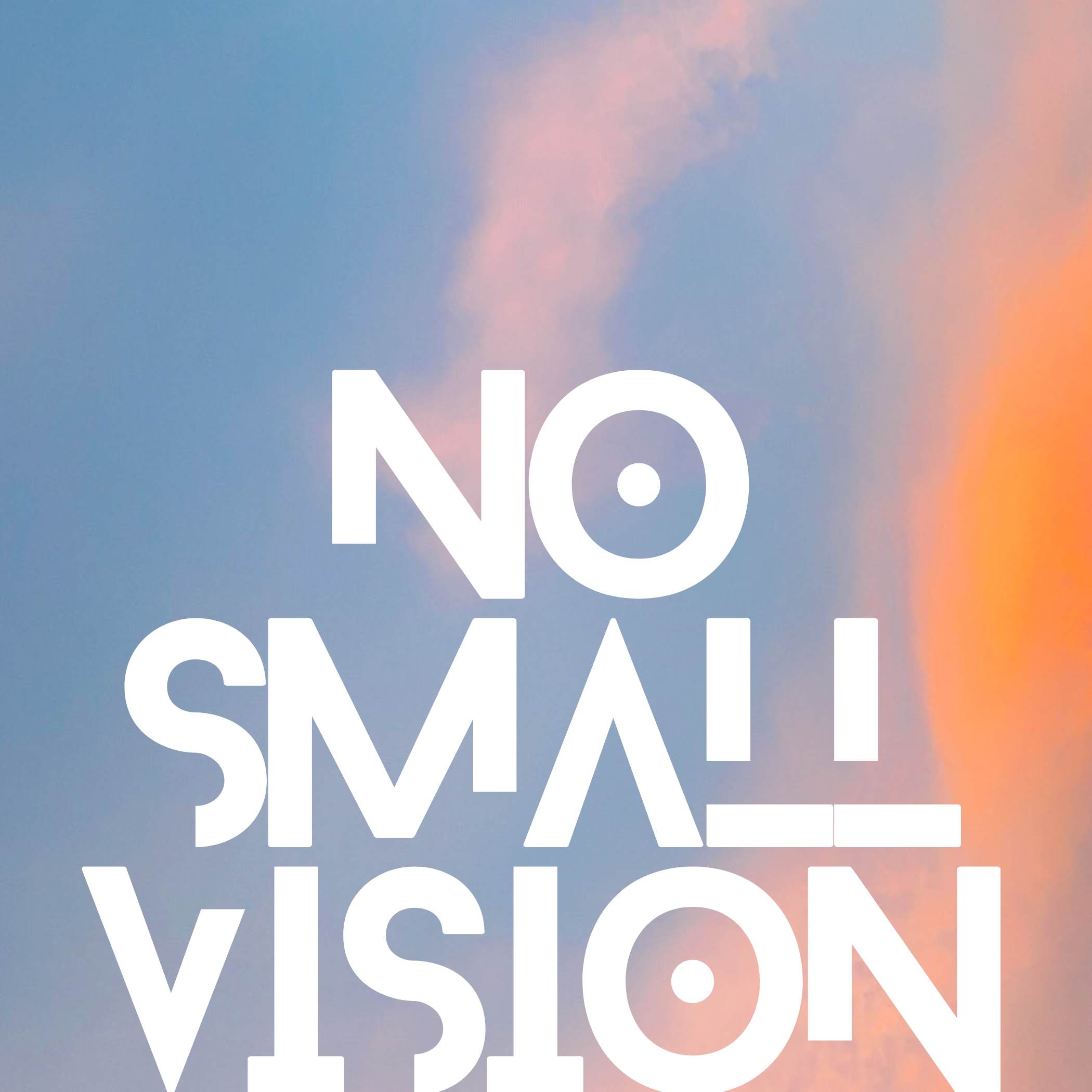 No Small Vision 