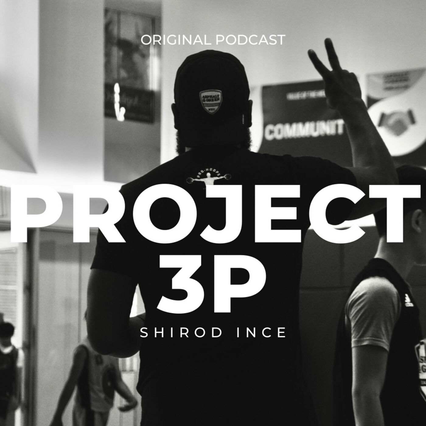 Project 3P 