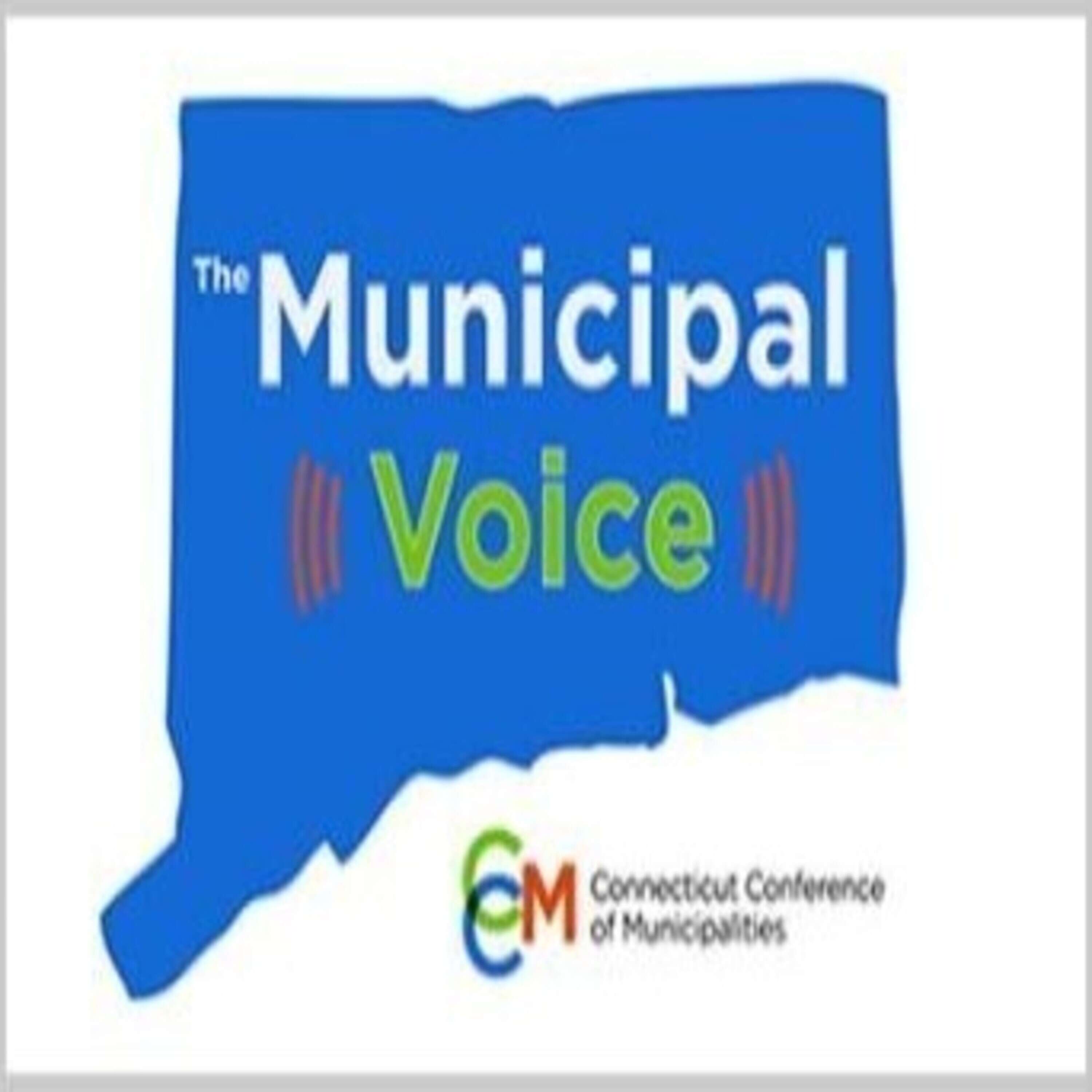 The Municipal Voice 