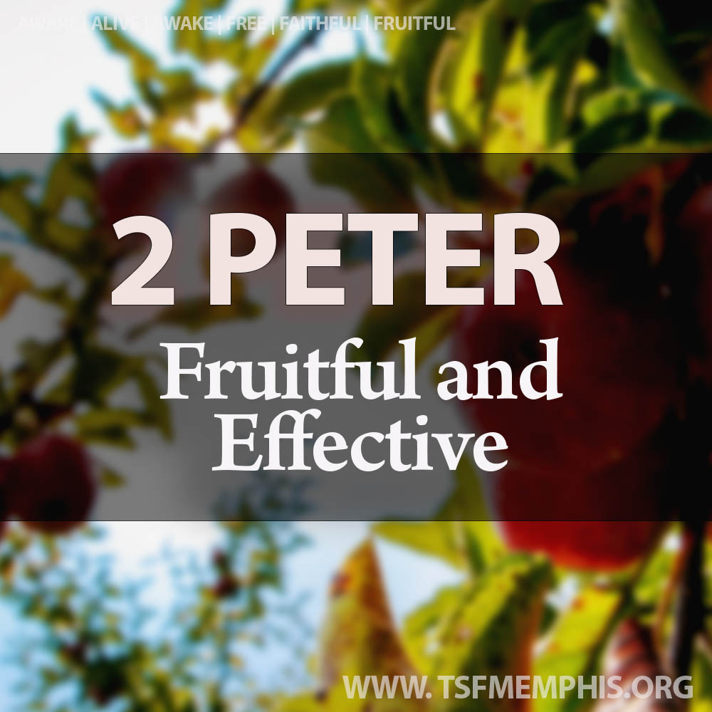 ⁣2 Peter: Fruitful and Effective: Part 3