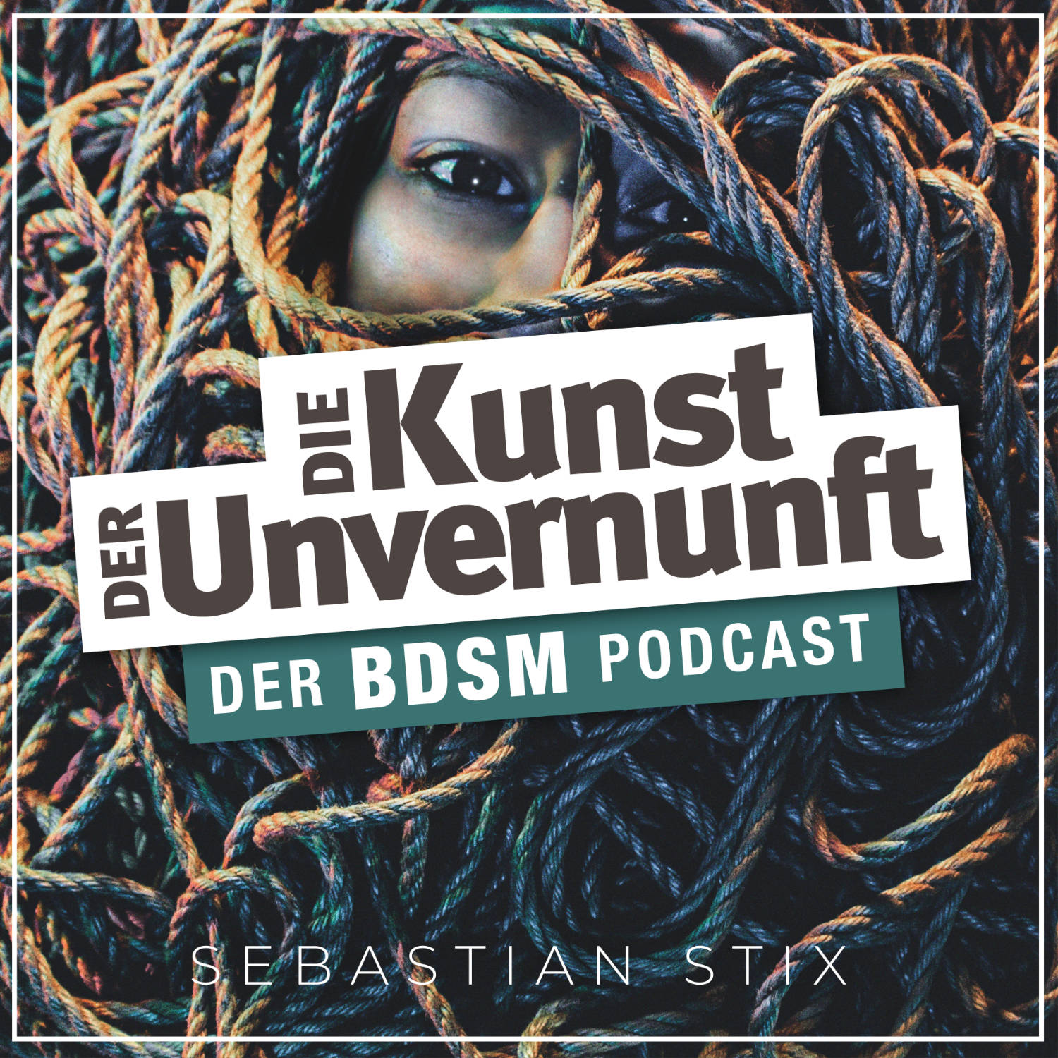 BDSM - Die Kunst der Unvernunft 