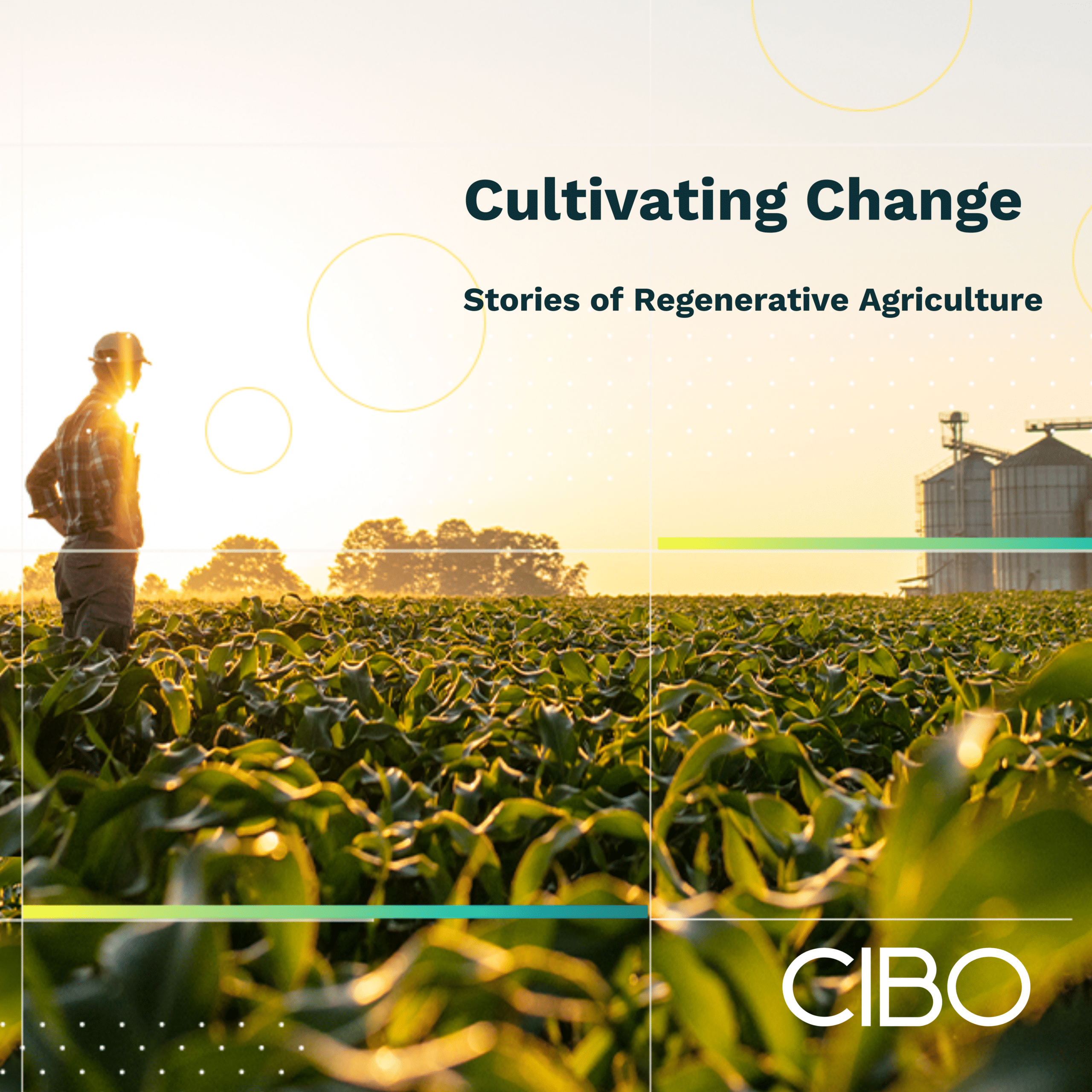 S1E1 Cultivating Change: Breaking Down The Farmgate – All about regenerative programs with Truterra, Anew Climate, and Rabobank