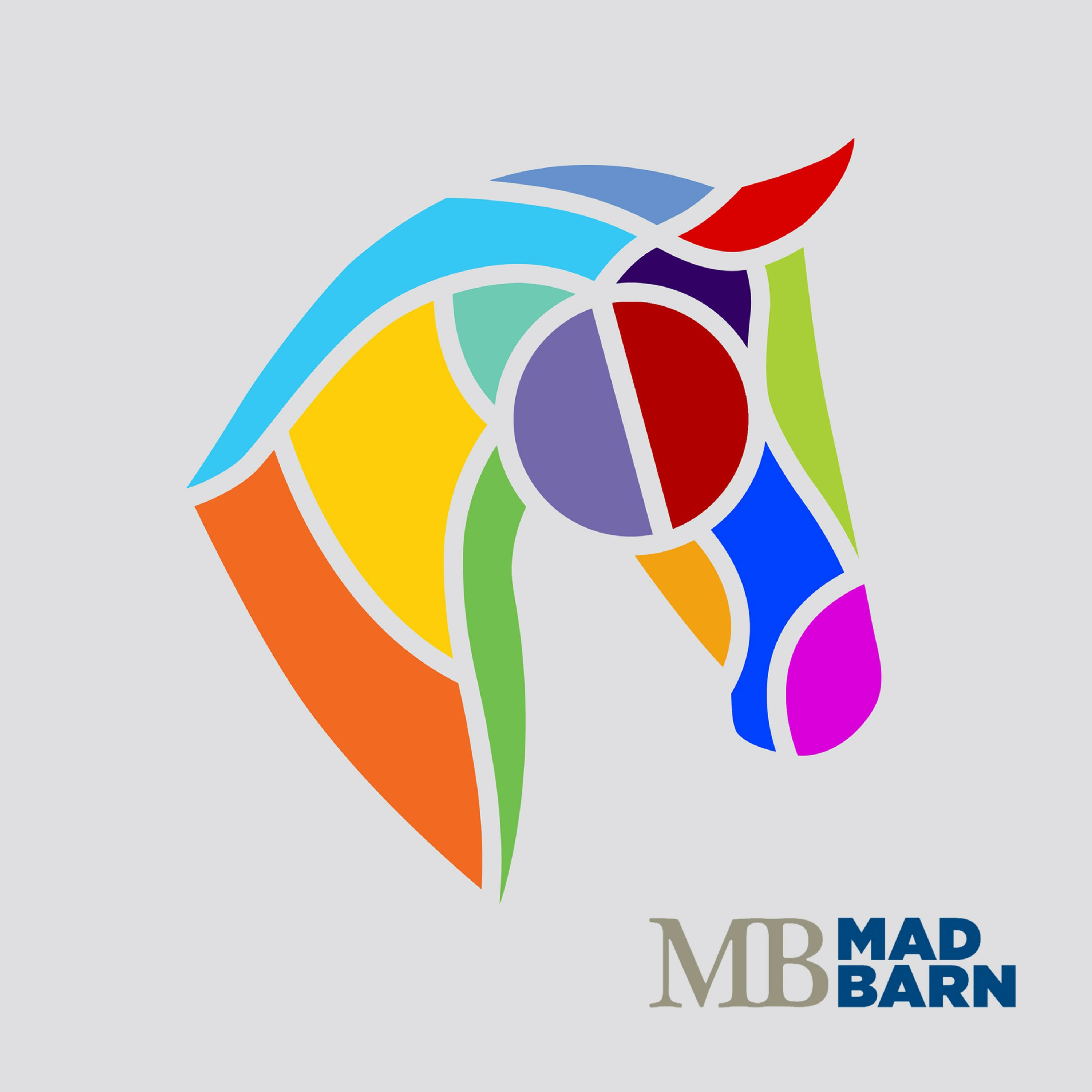 Mad Barn Academy 