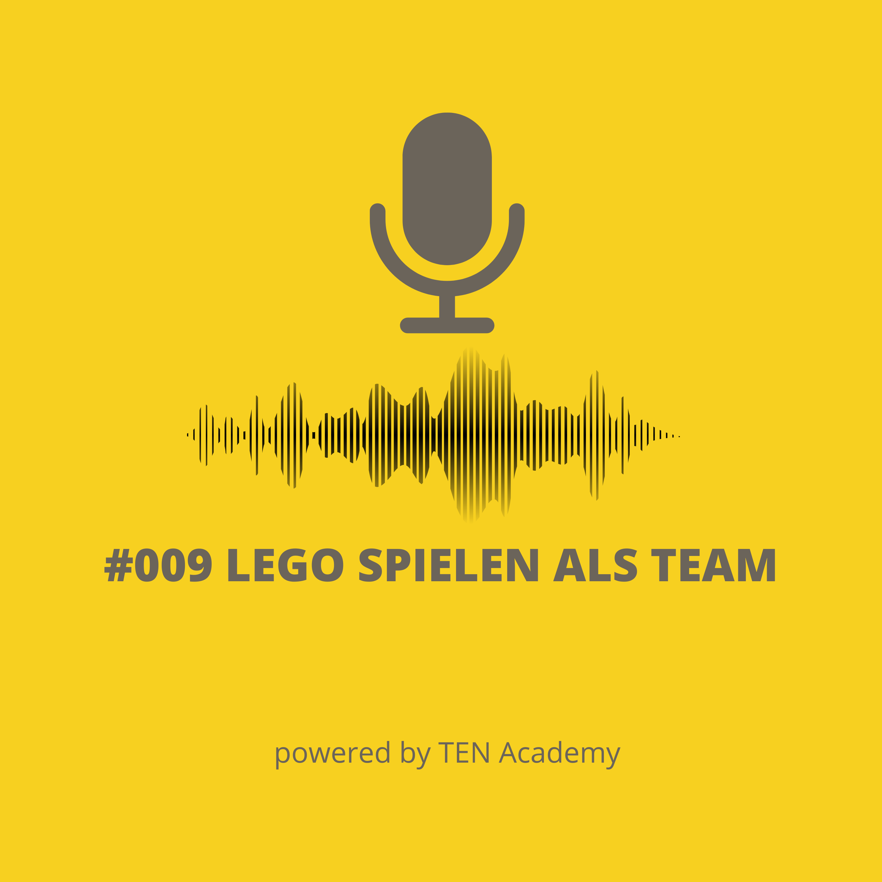 009 Lego spielen als Team