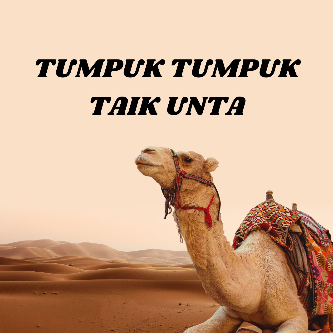 Tumpuk Tumpuk Taik Unta 