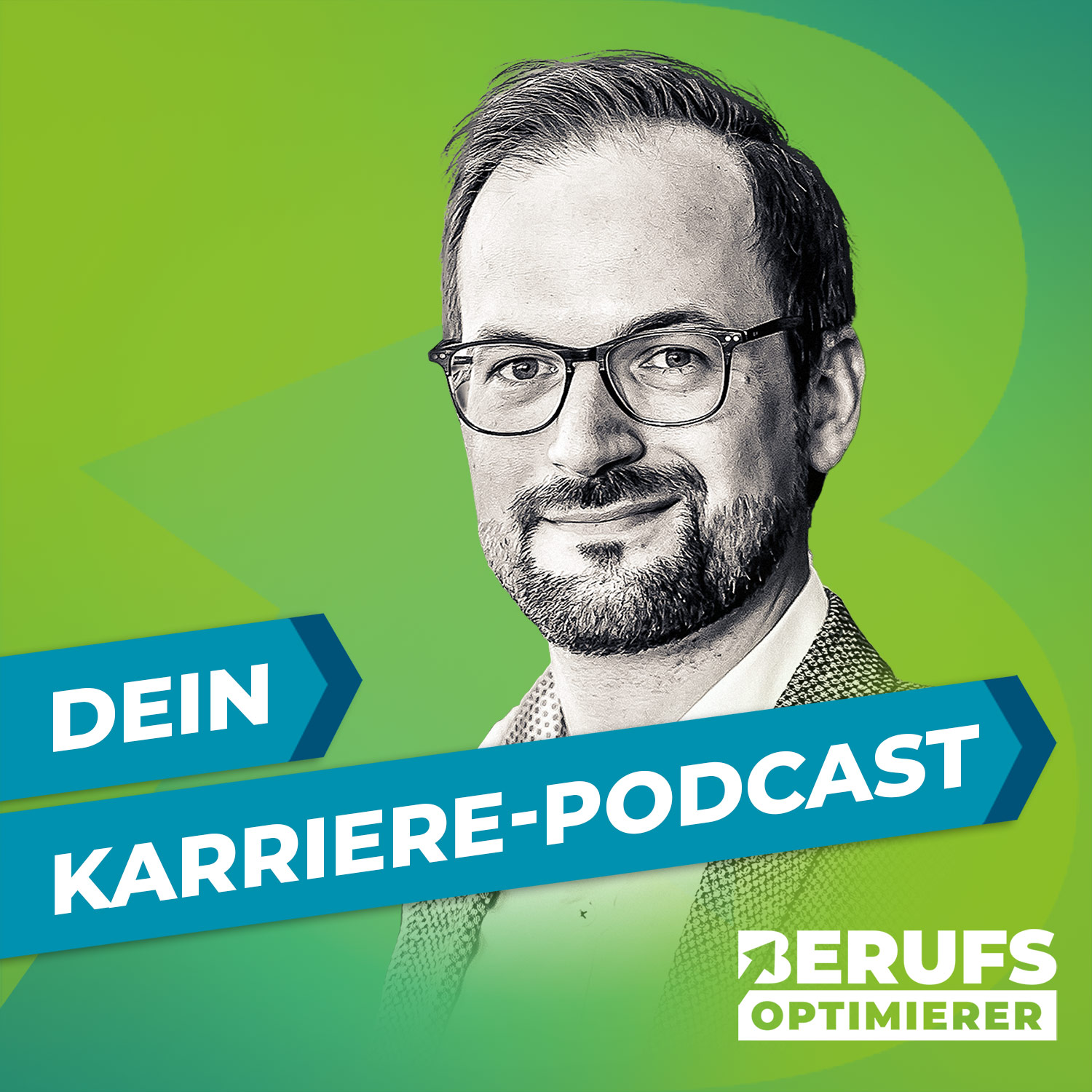 Berufsoptimierer - Erfolg in Bewerbung und Karriere 