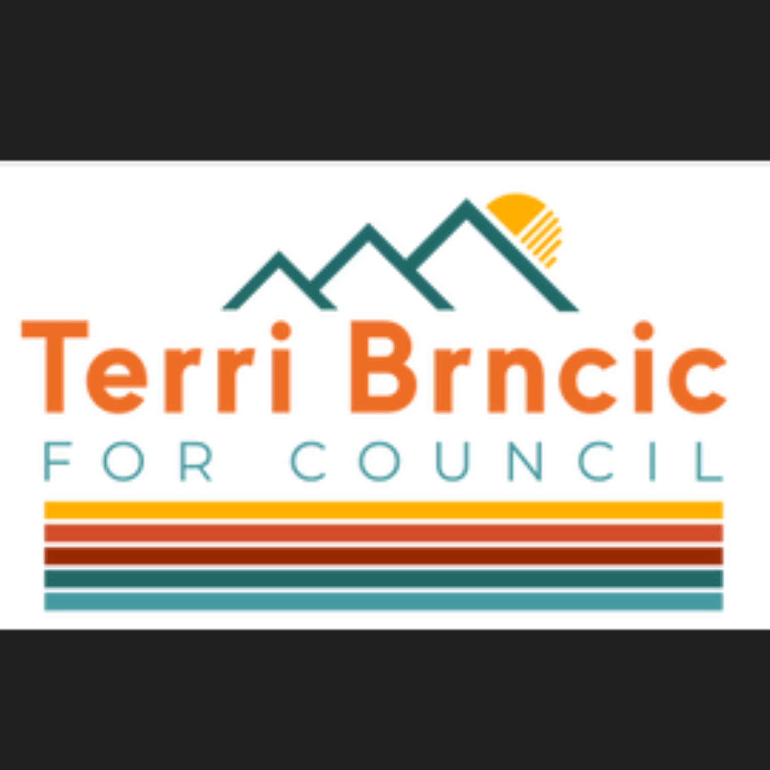 ⁣043 Terri Brncic, City Council Candidate