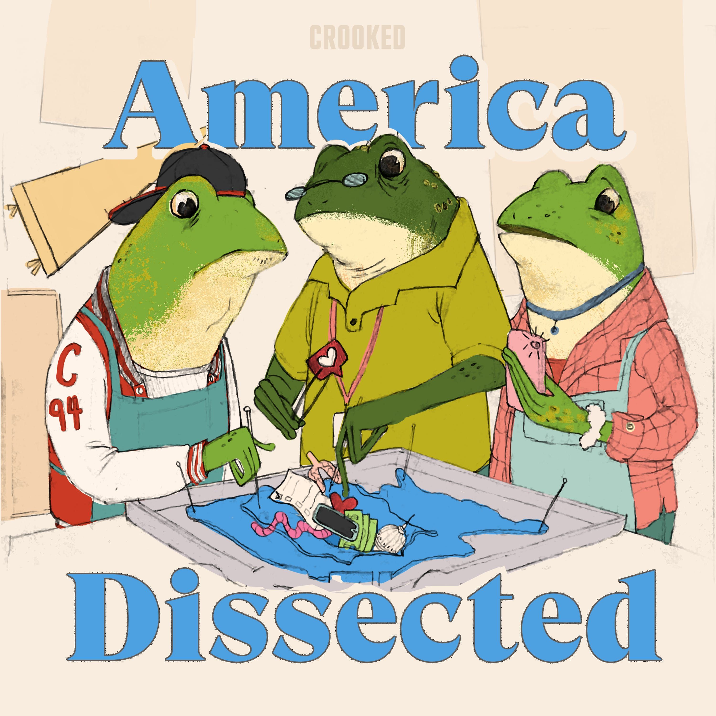 America Dissected 