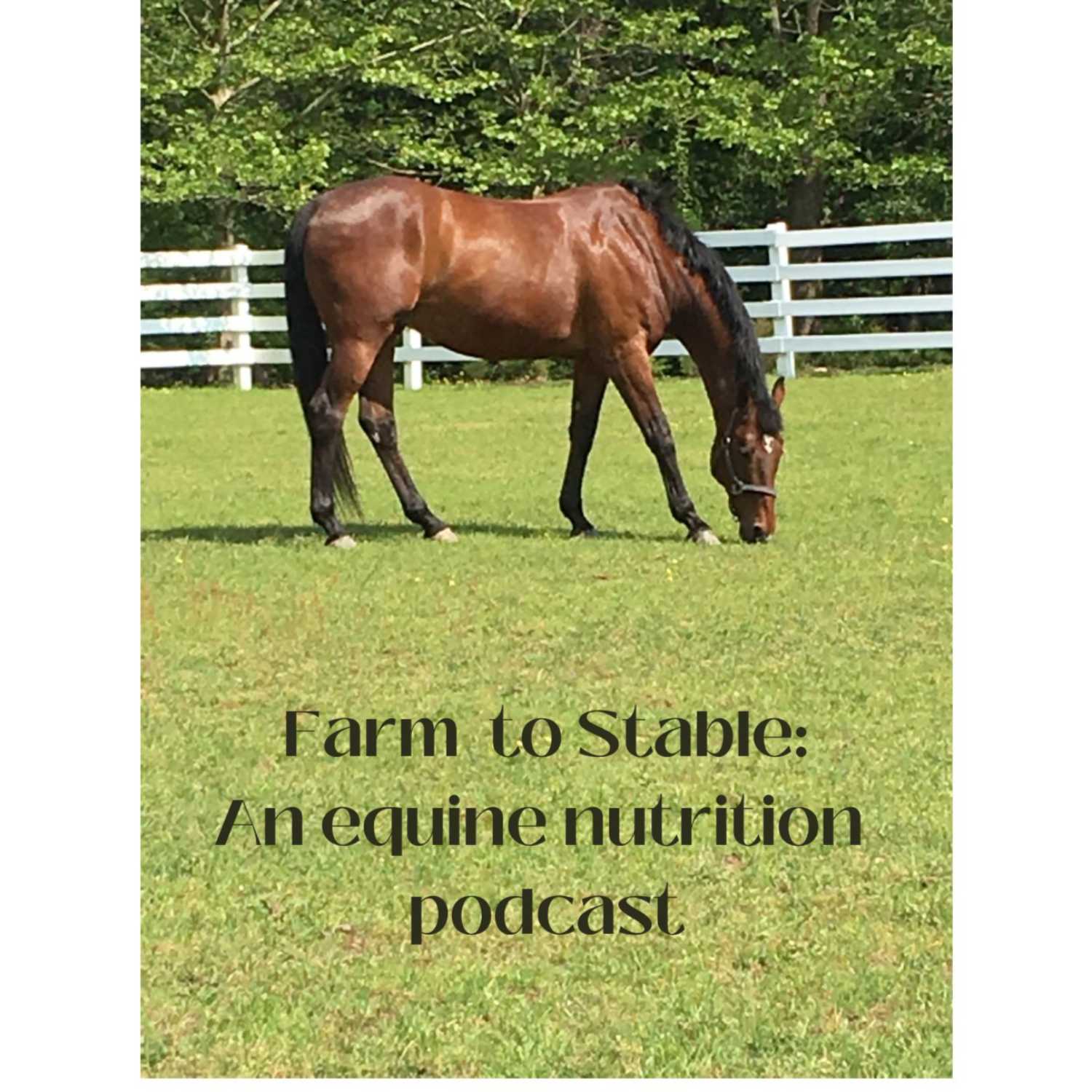 Farm To Stable: An Equine Nutrition Podcast 