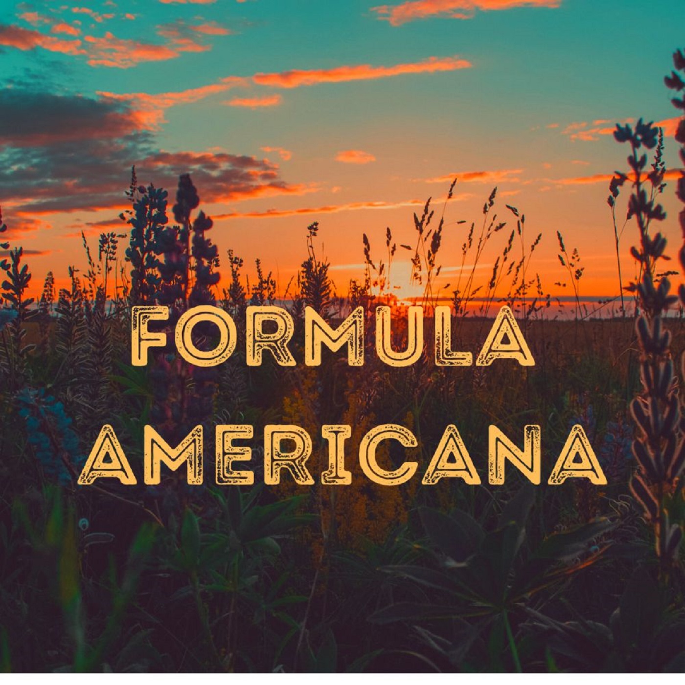 Formula Americana 