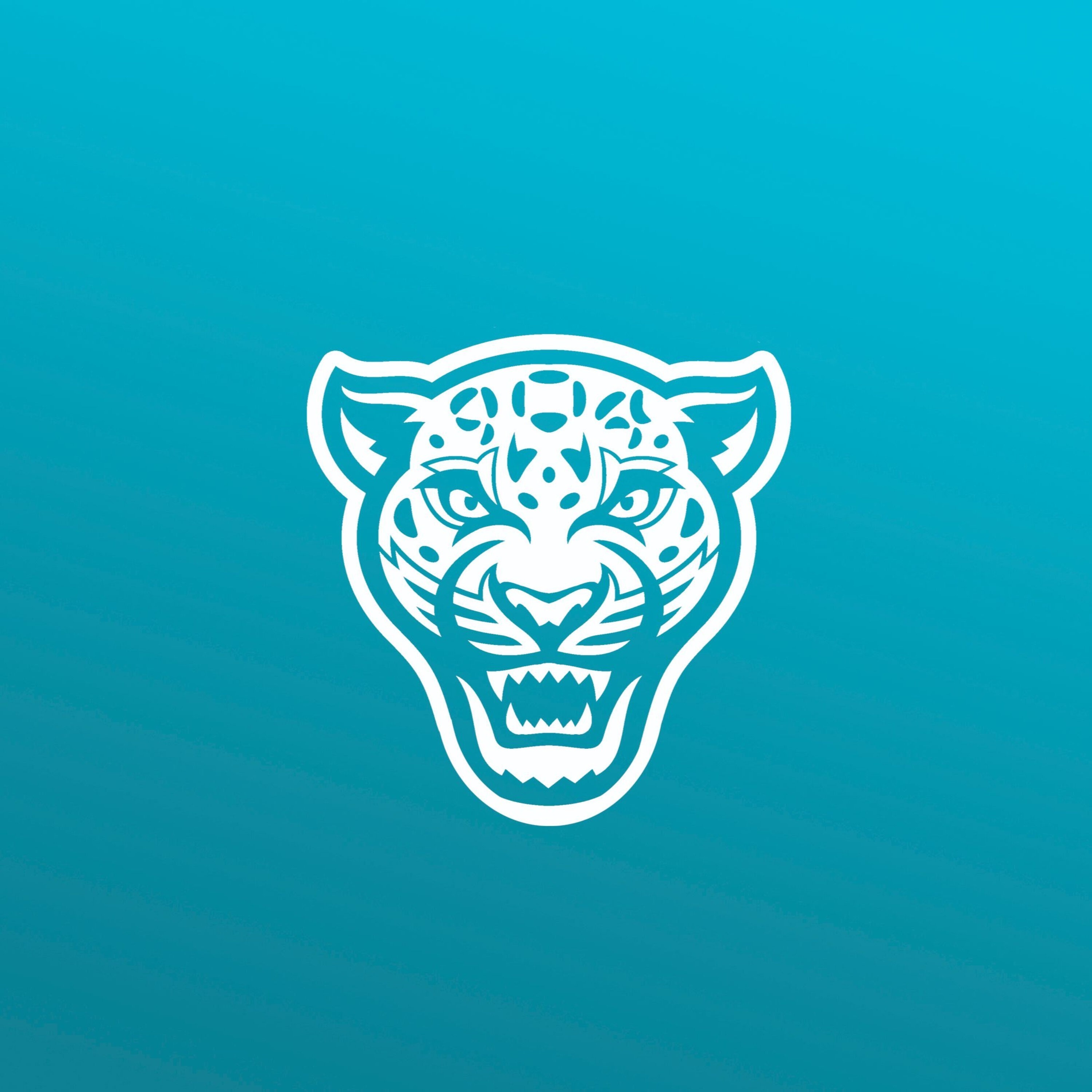 Duval Daily: A Jacksonville Jaguars Podcast 