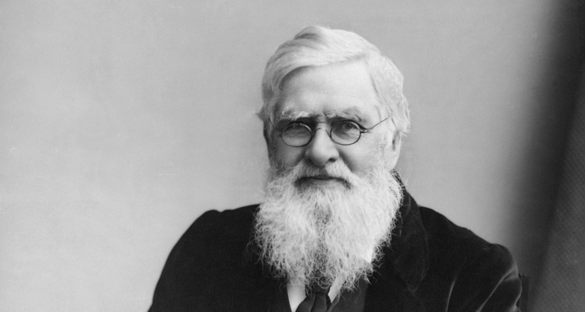 Alfred Russel Wallace: From Natural Selection to Natural Theology