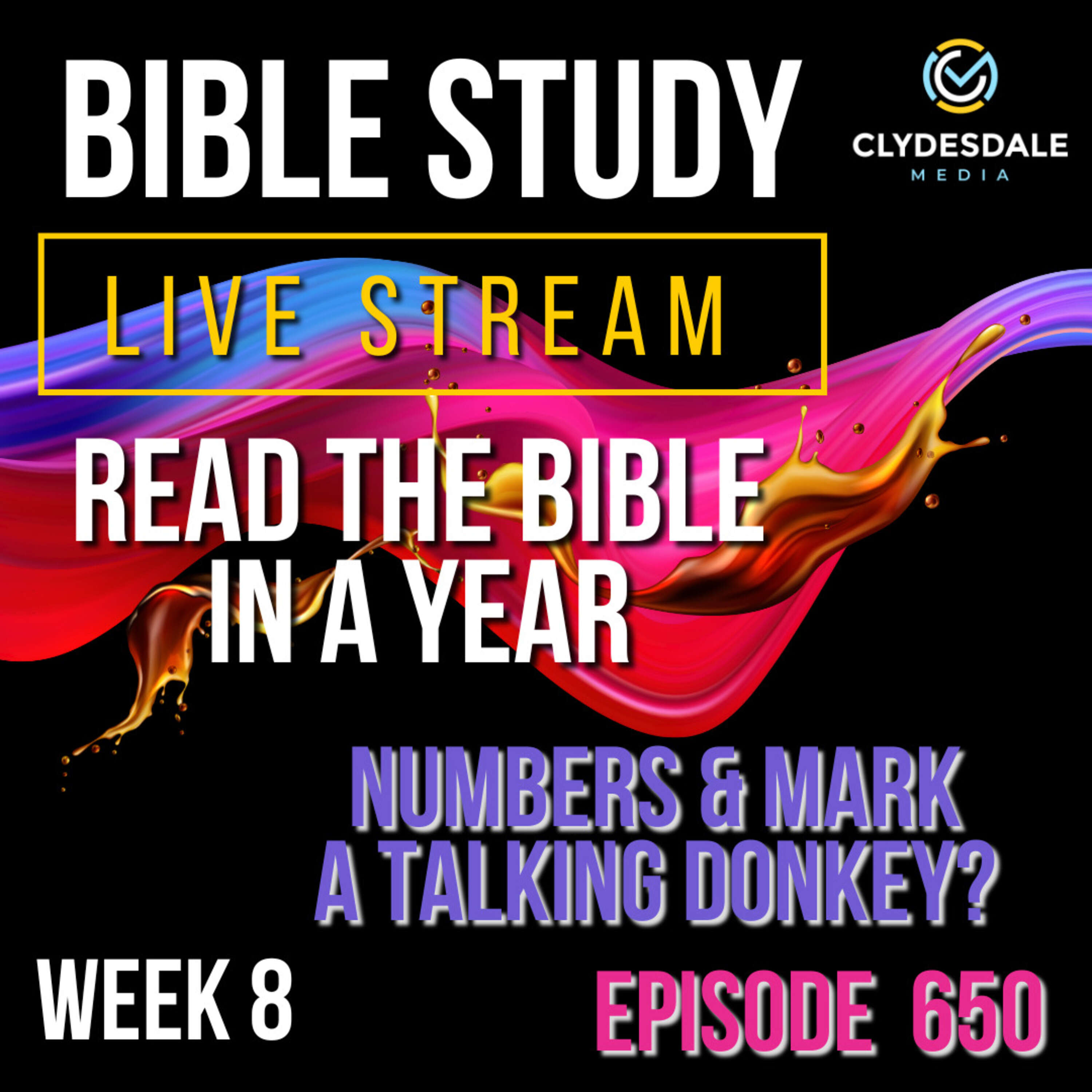 ⁣The Clydesdale Media Bible Study - Week 8 Numbers and Mark and... A Talking Donkey?