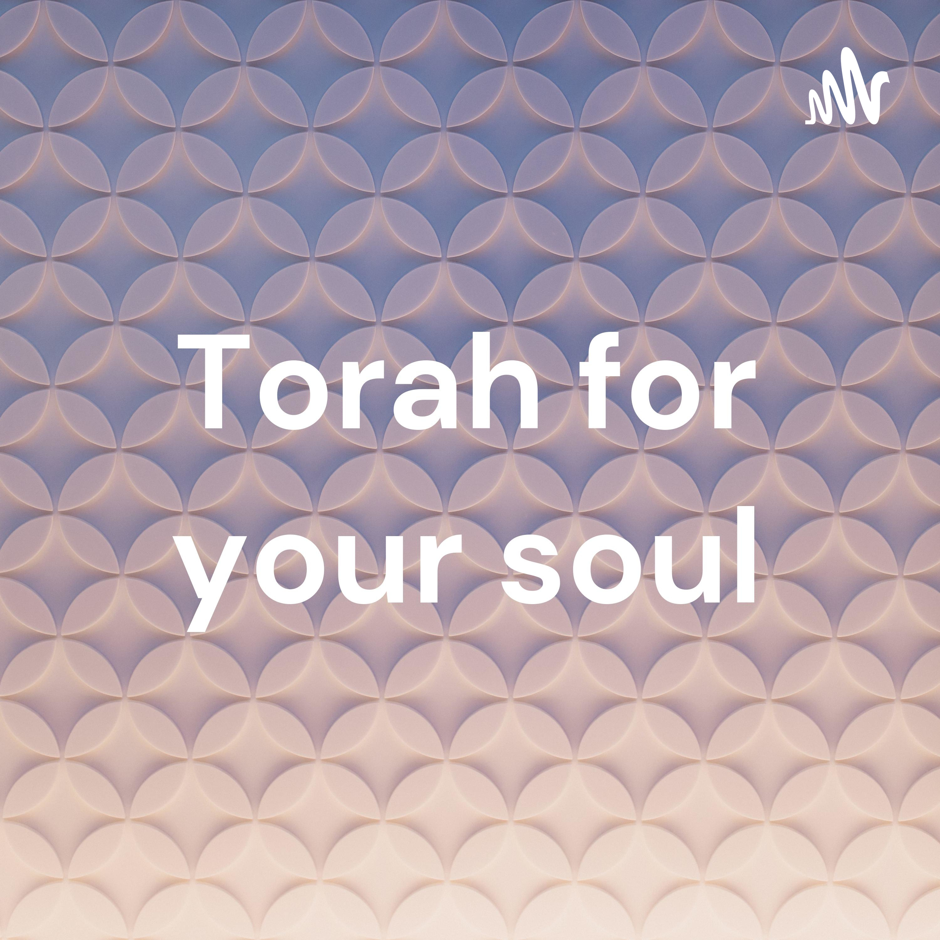 Torah for your soul 