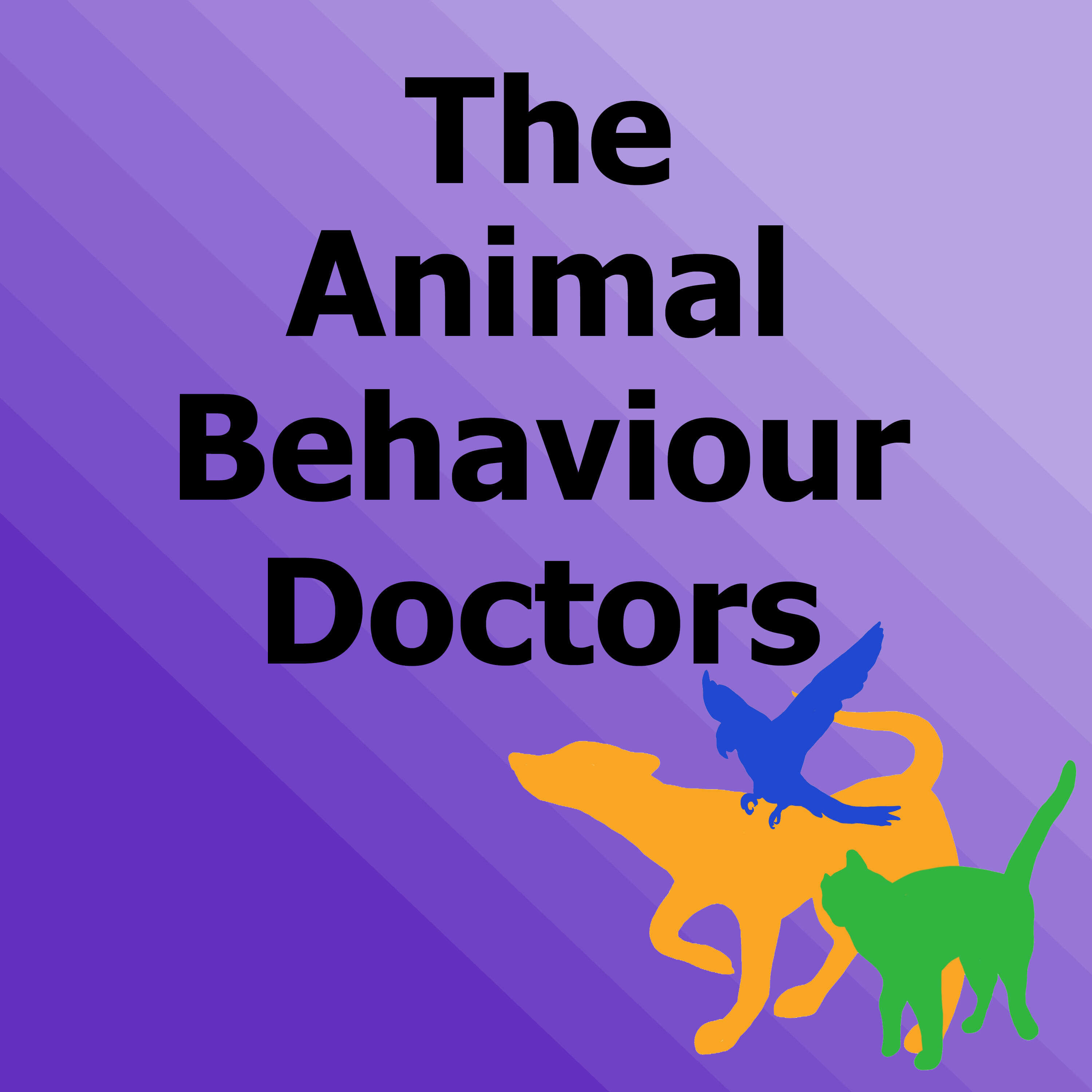 The Animal Behaviour Doctors 