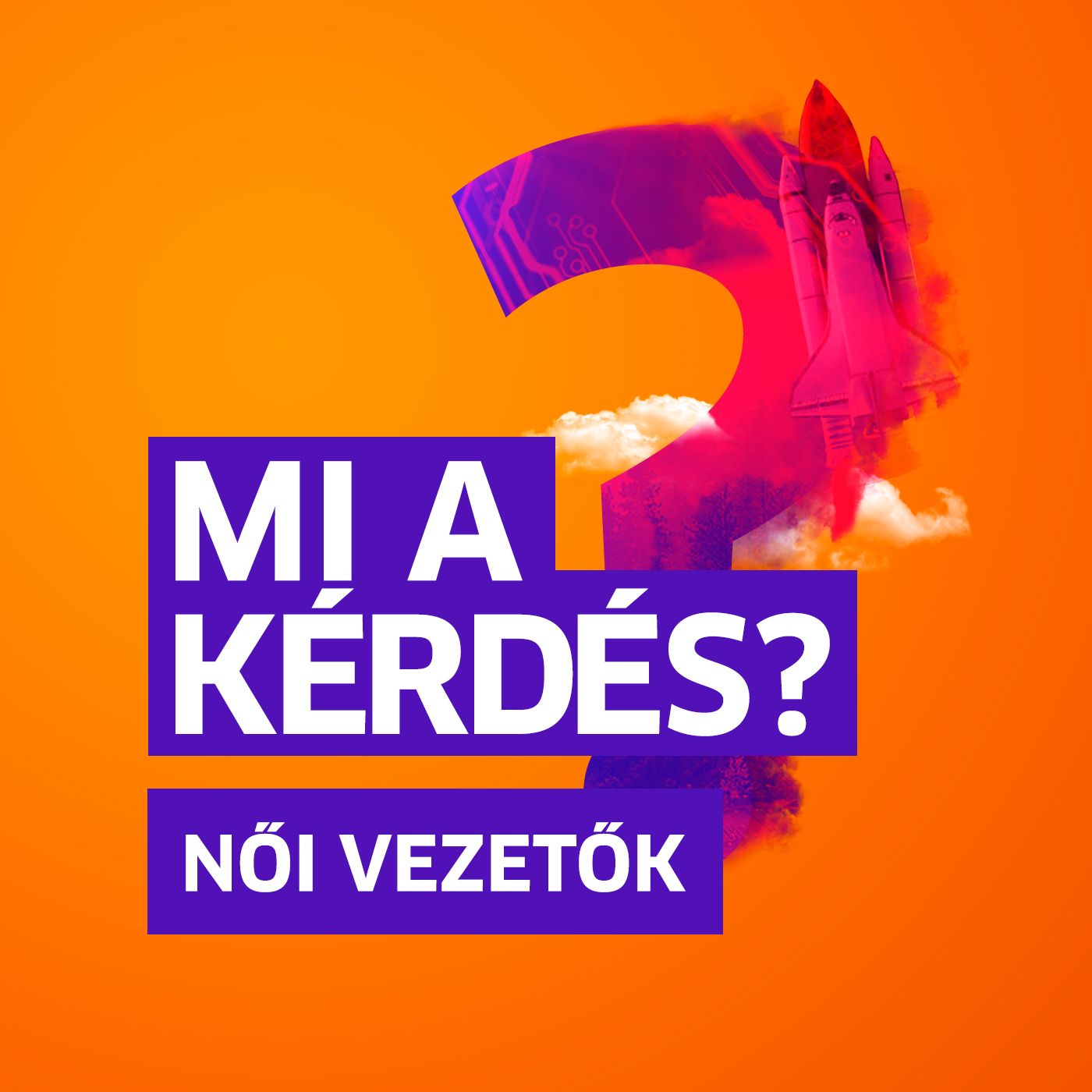 ⁣Kvótákkal a női vezetőkért? | Mi a kérdés? Pálinkás Máriával és Birton Rékával