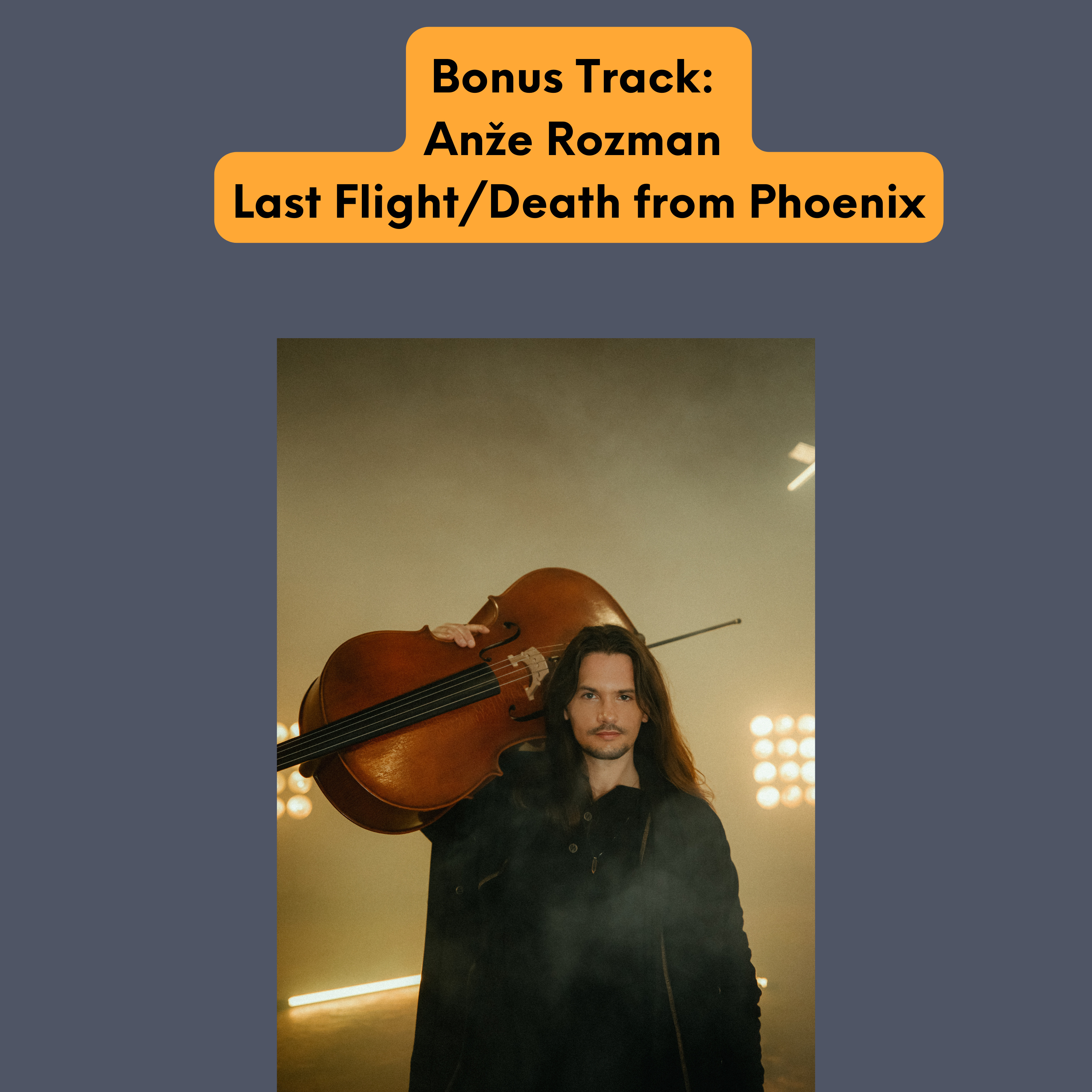 Bonus Track by Anže Rozman: Last Flight/Death from Phoenix for Solo flute and orchestra