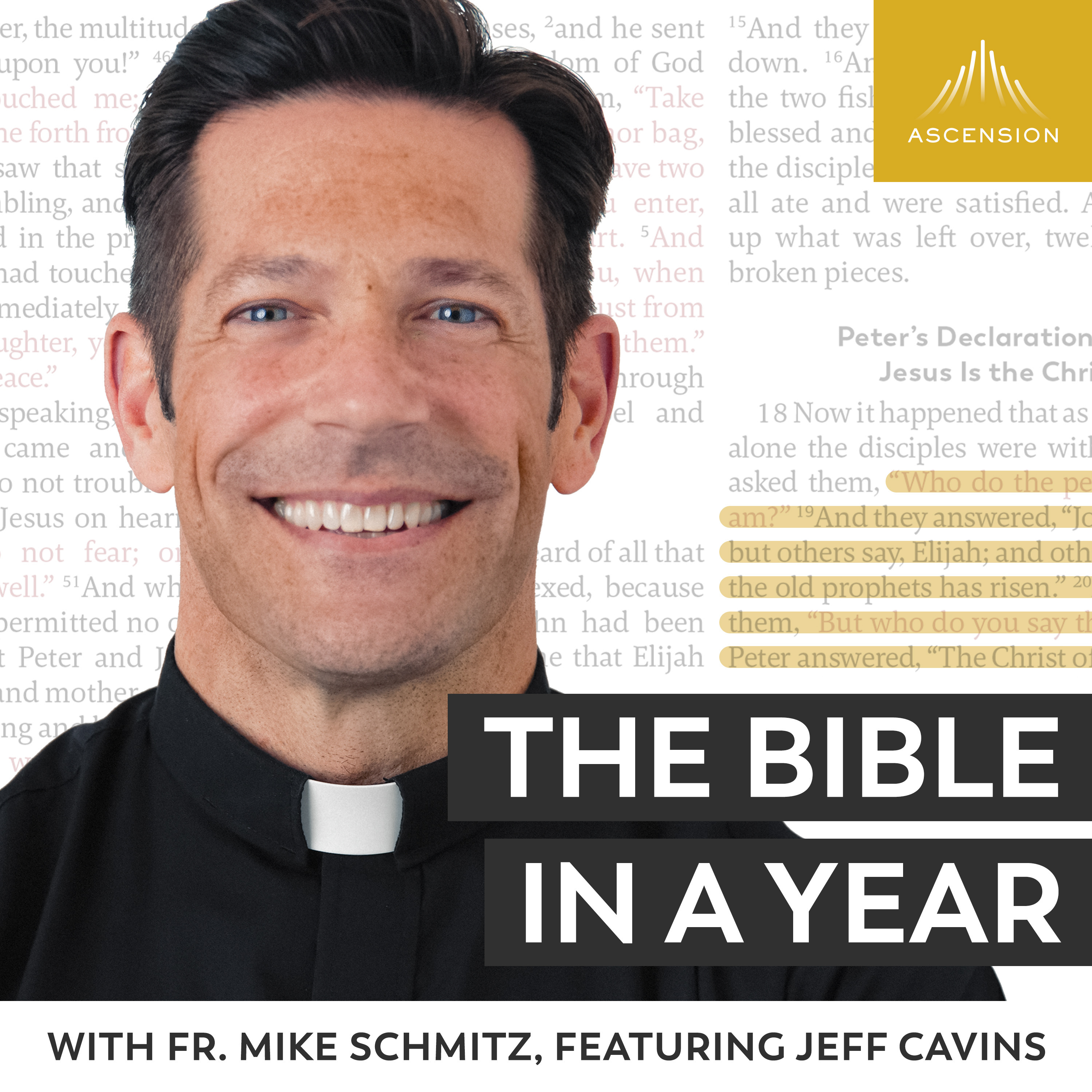 The Bible in a Year (with Fr. Mike Schmitz) 