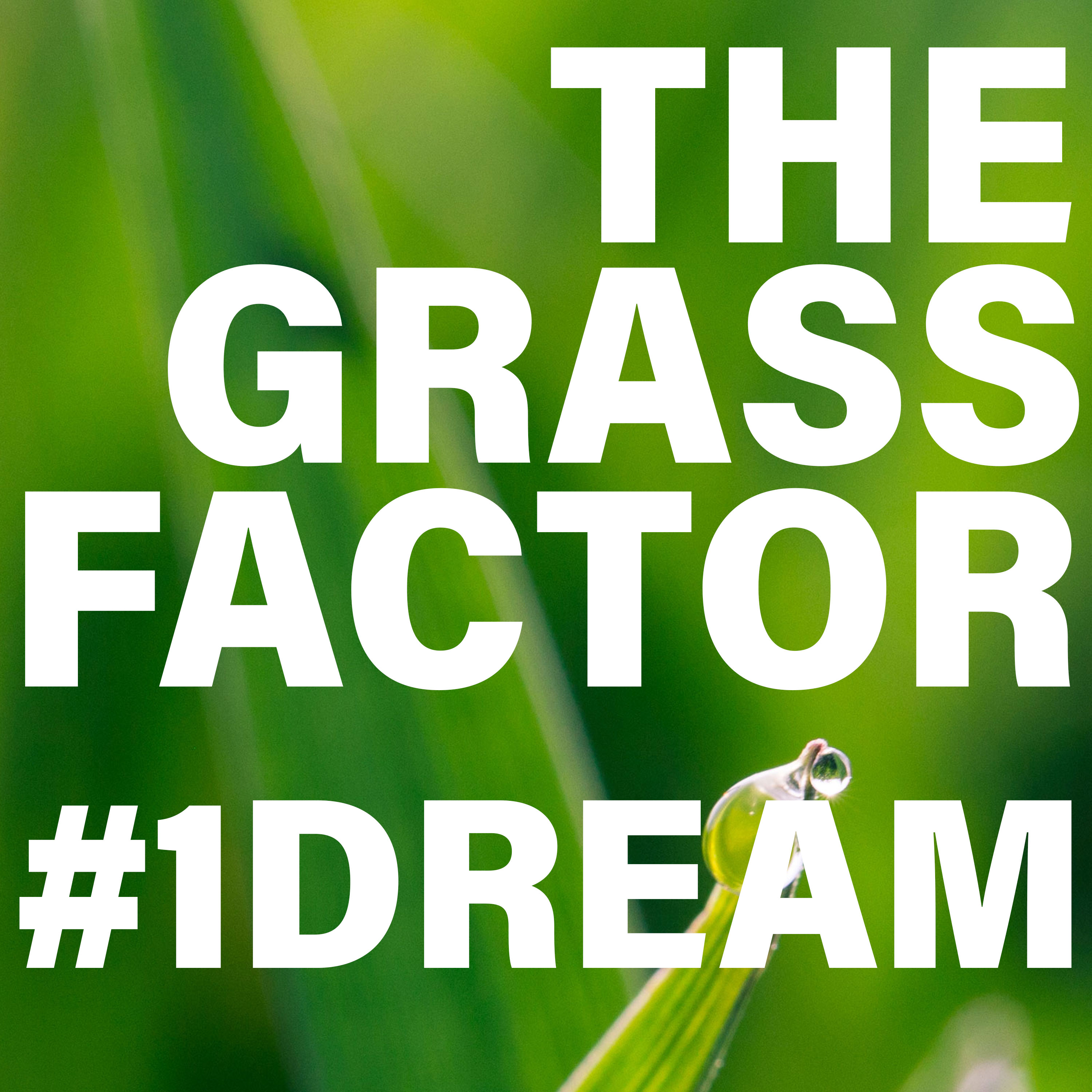 The Grass Factor 