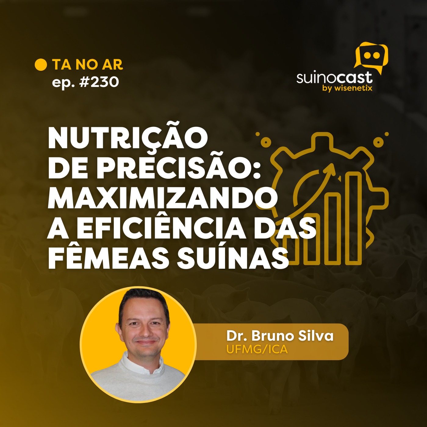 #230 - Nutrição de precisão: maximizando a eficiência das fêmeas suínas - Dr. Bruno Silva